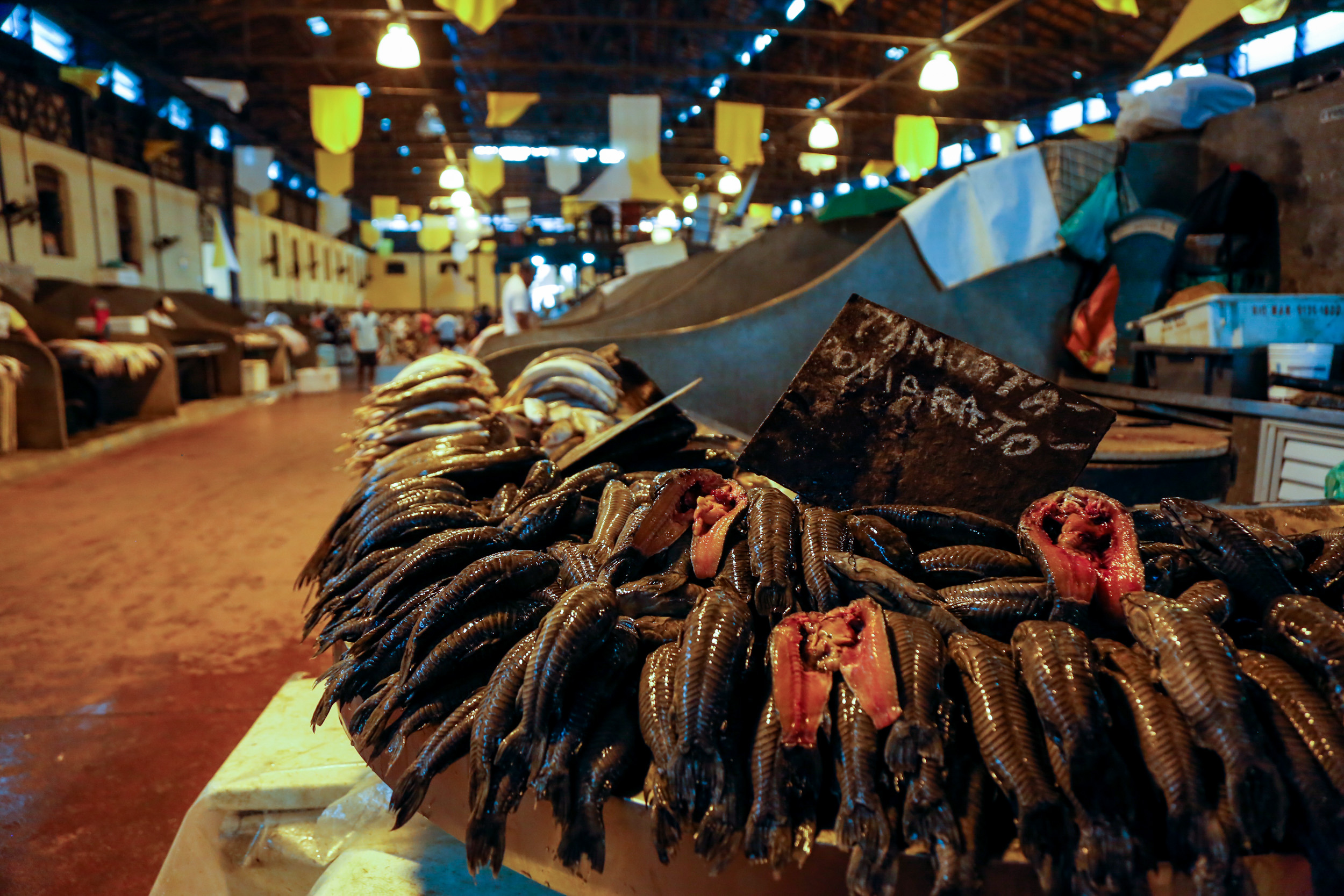 Preço do pescado cai nos mercados municipais de Belém