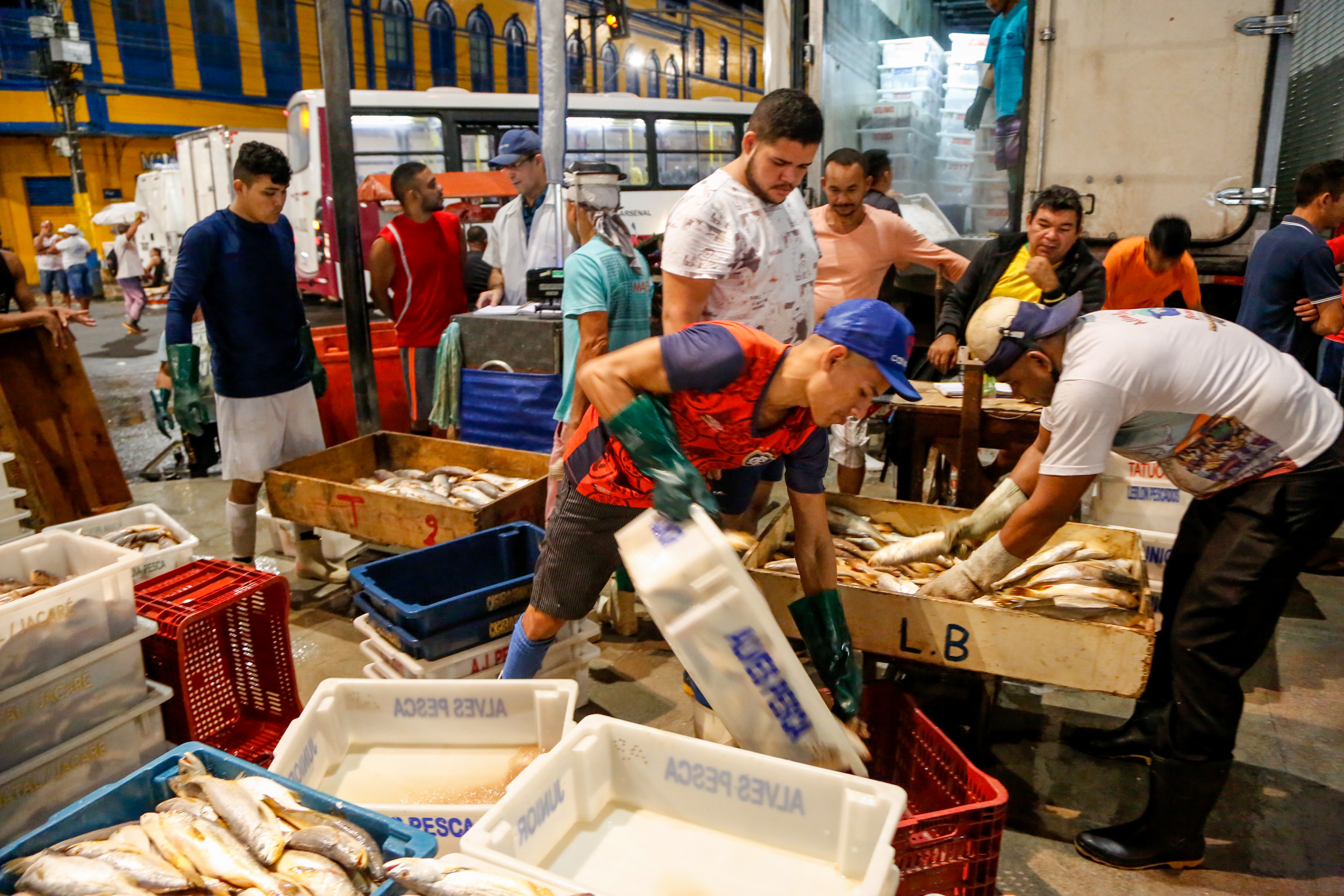 Começa a valer decreto municipal para o controle do pescado