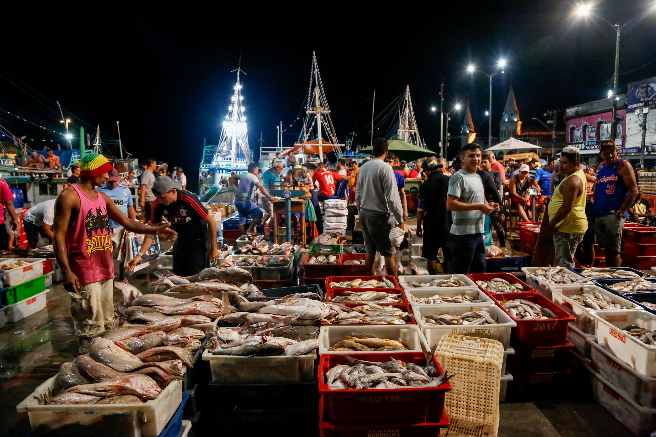 Começa a valer decreto municipal para o controle do pescado