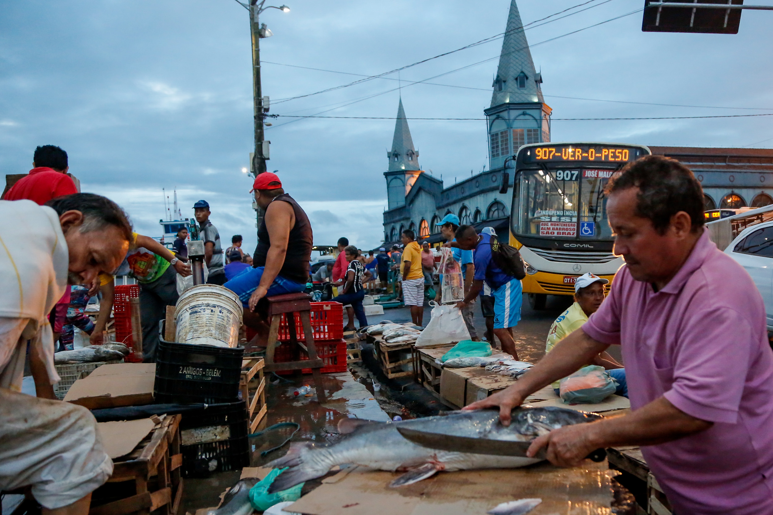 Prefeitura garante pescado com preços abaixo dos de mercado para a Semana Santa