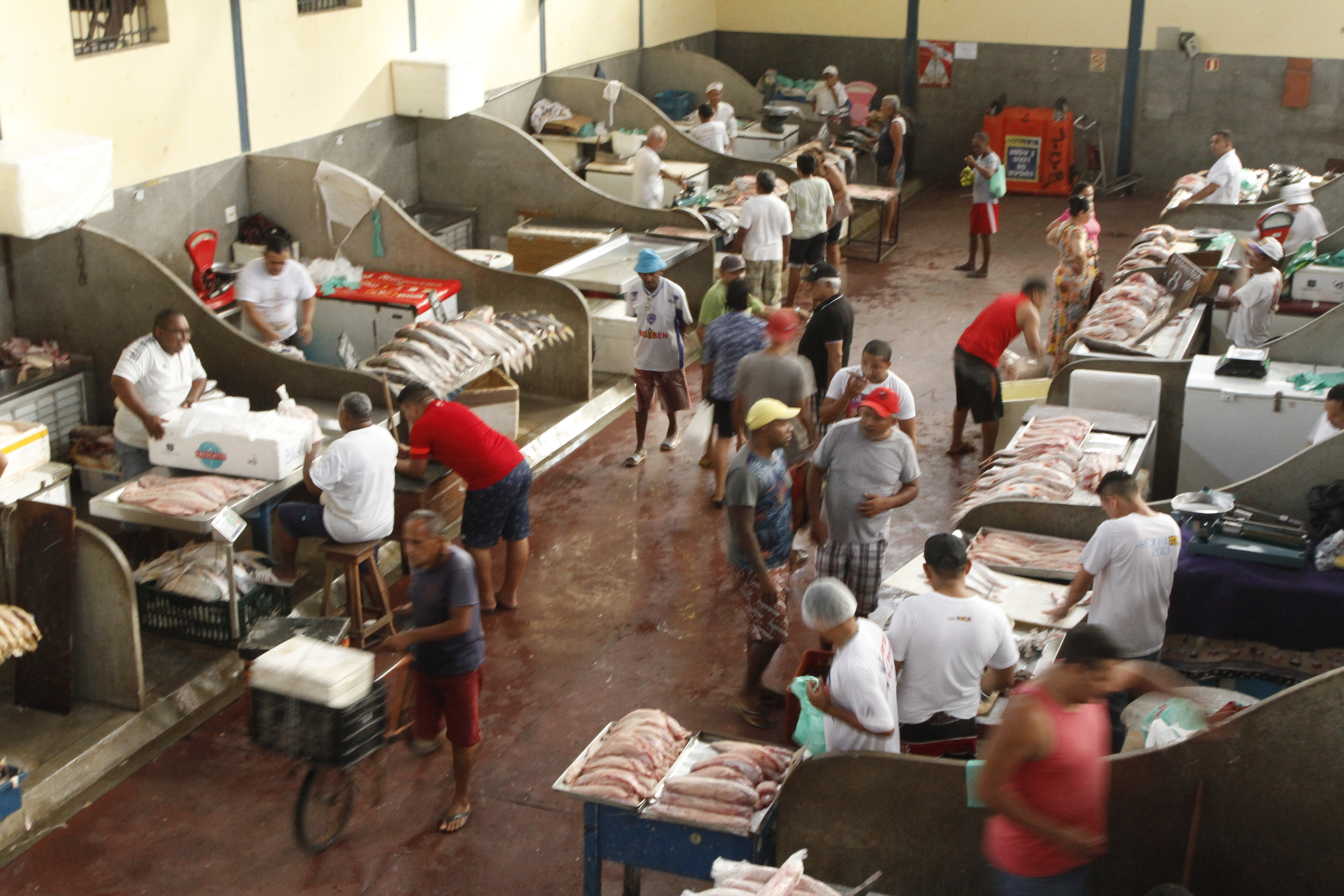 Preço do peixe cai na capital, aponta pesquisa Secon/Dieese