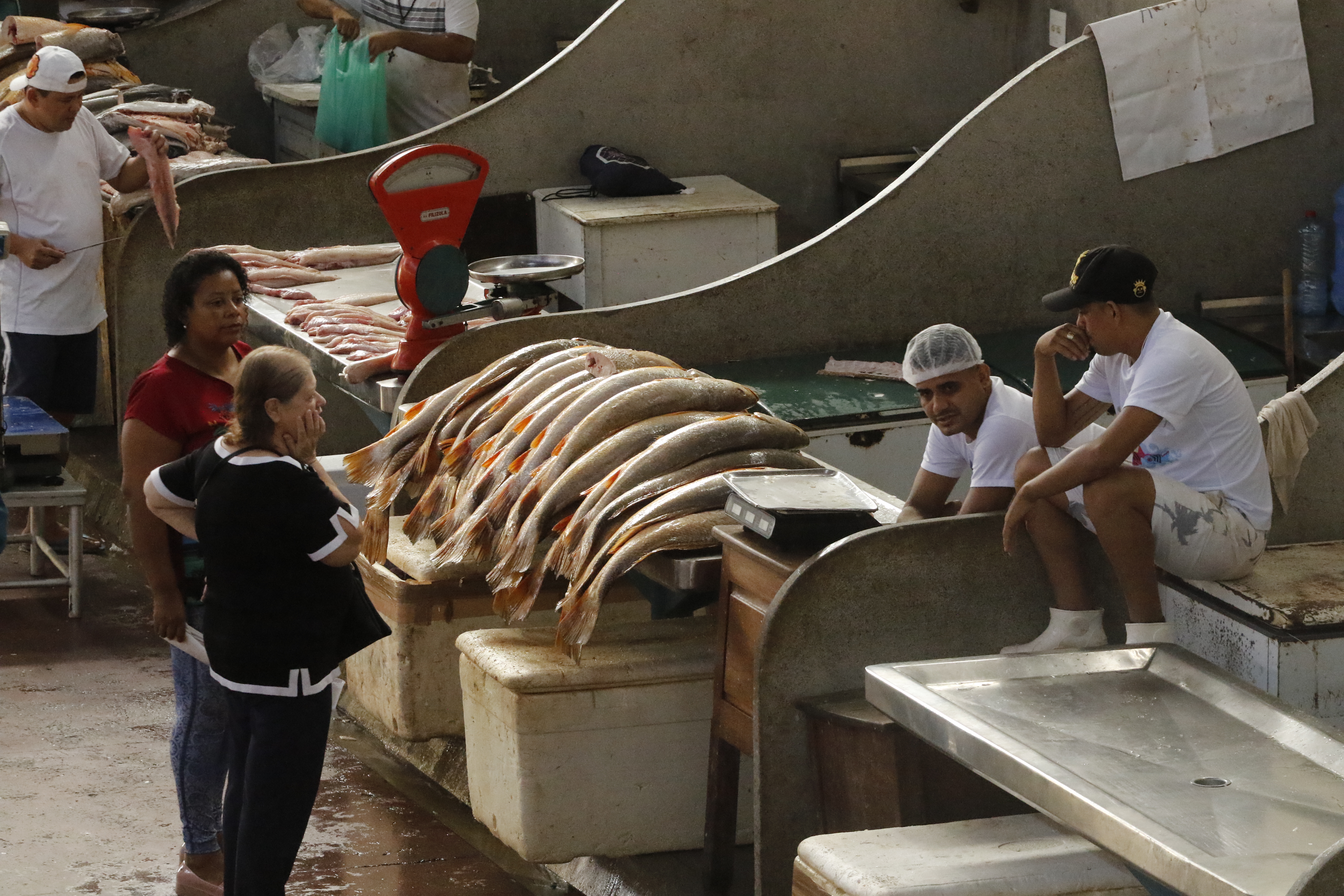 Preço do pescado cai às proximidades da Semana Santa