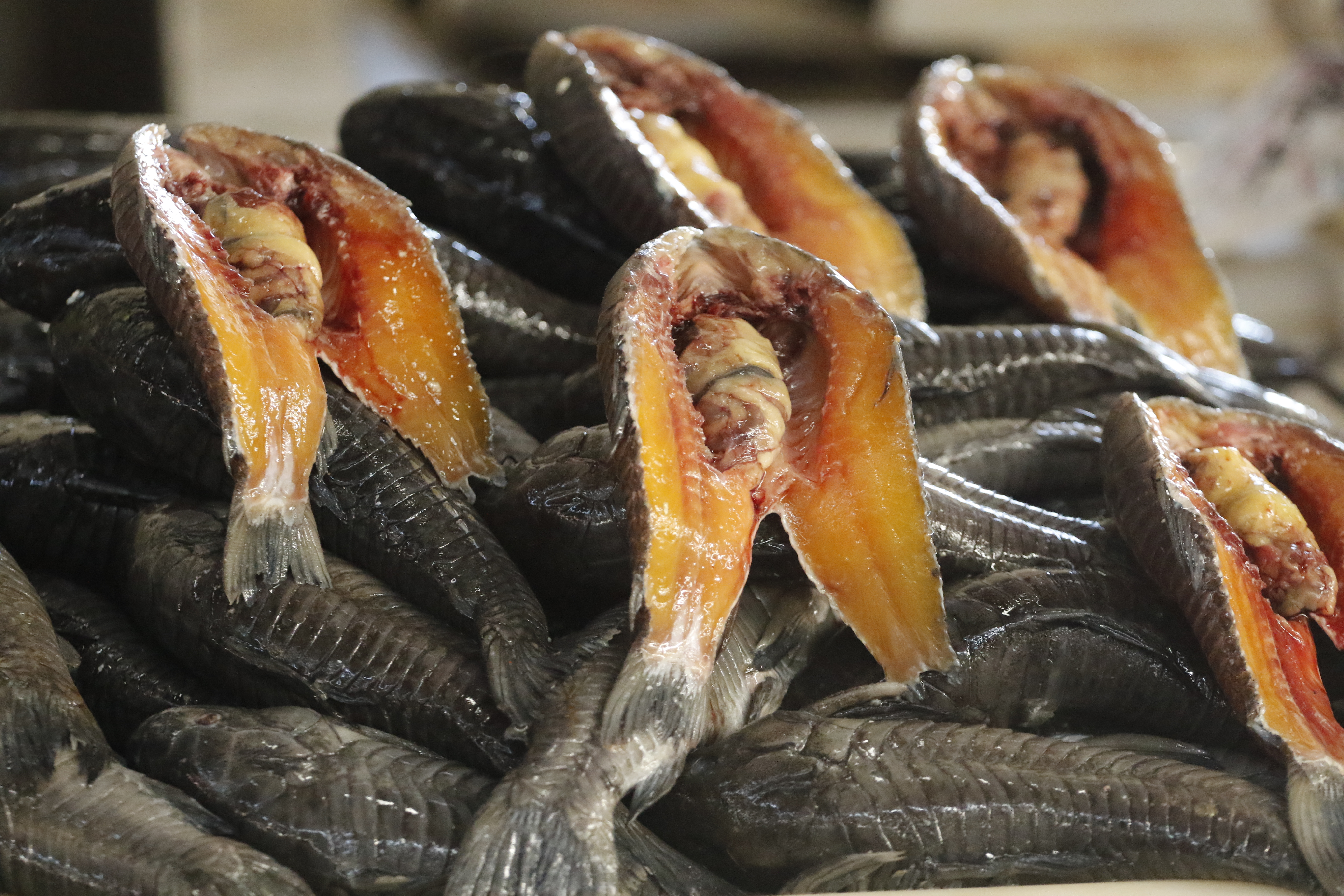 Secon e Dieese-PA indicam aumento no preço do pescado e aconselham sobre melhores ofertas 