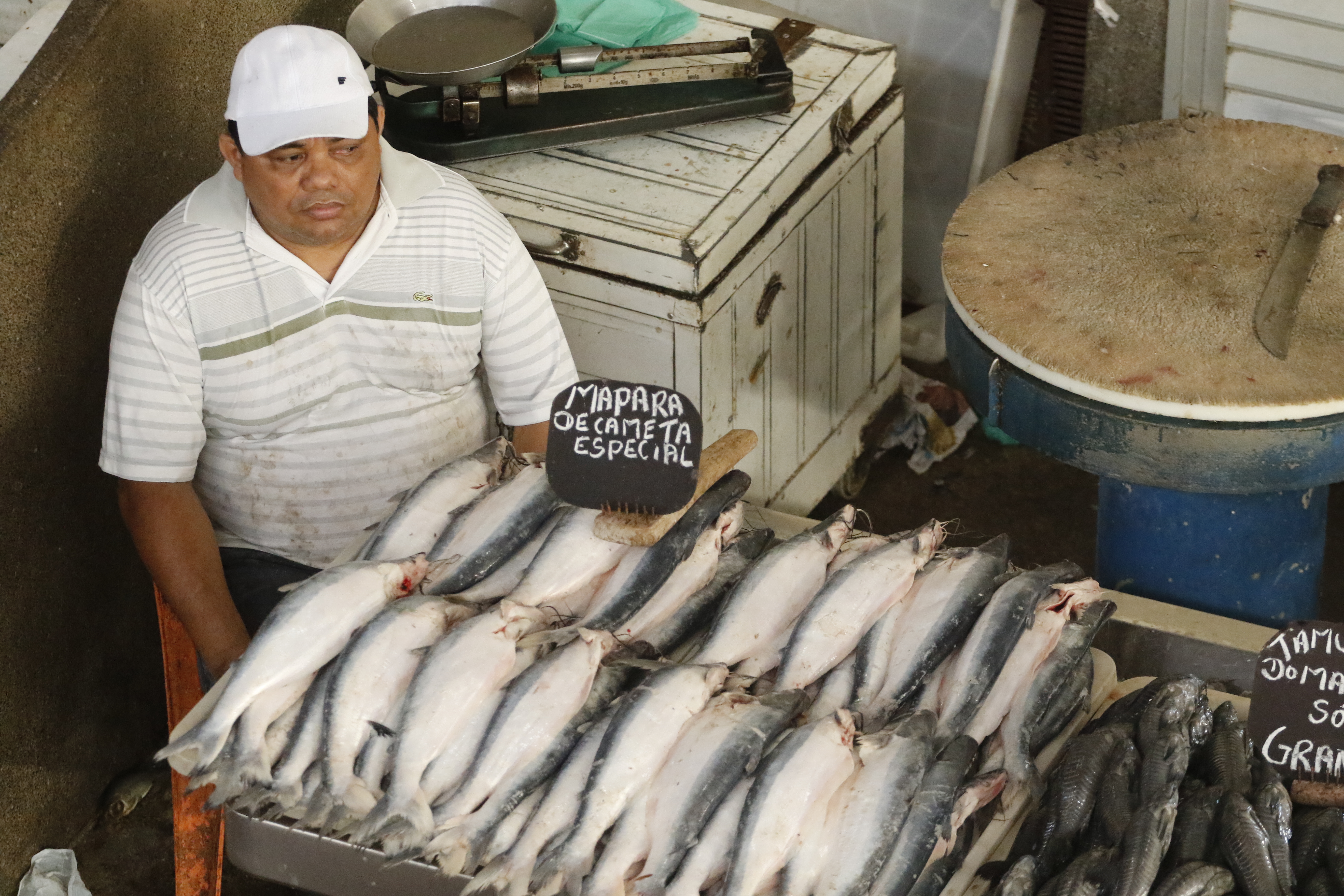 Preço do pescado cai às proximidades da Semana Santa
