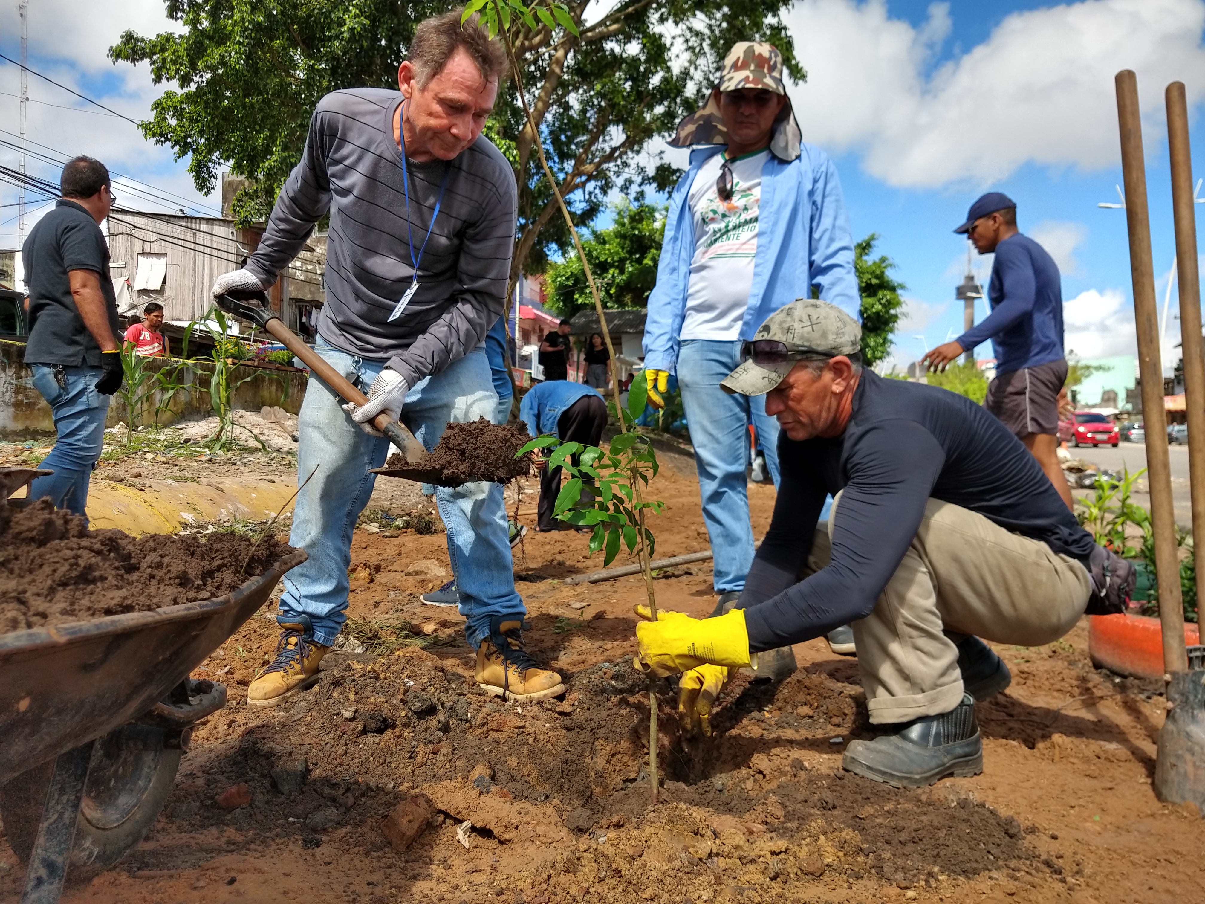 Projeto paisagístico chega ao bairro do Curió-Utinga
