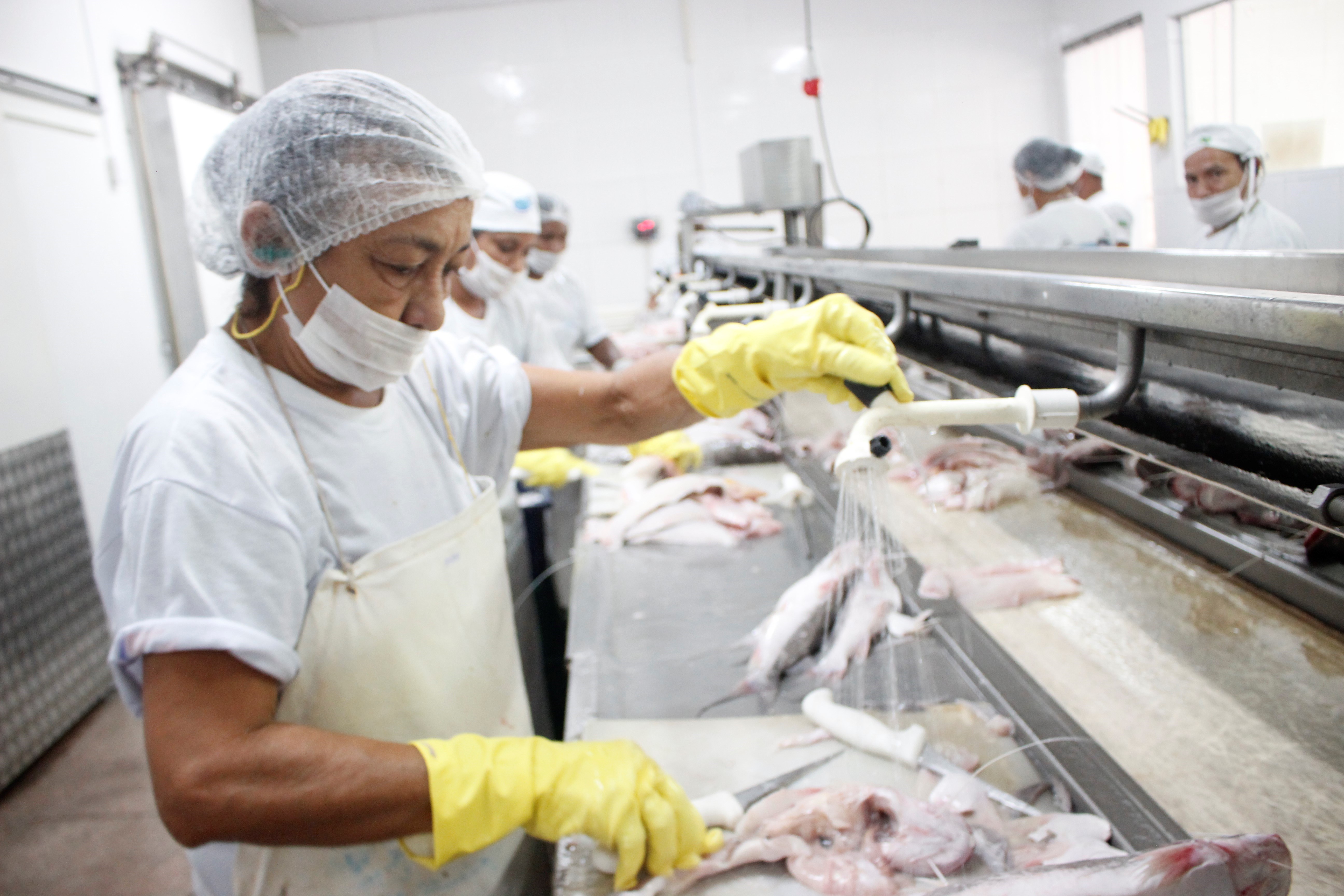 Prefeitura de Belém instala Feira do Pescado em Outeiro nos dias 18 e 19