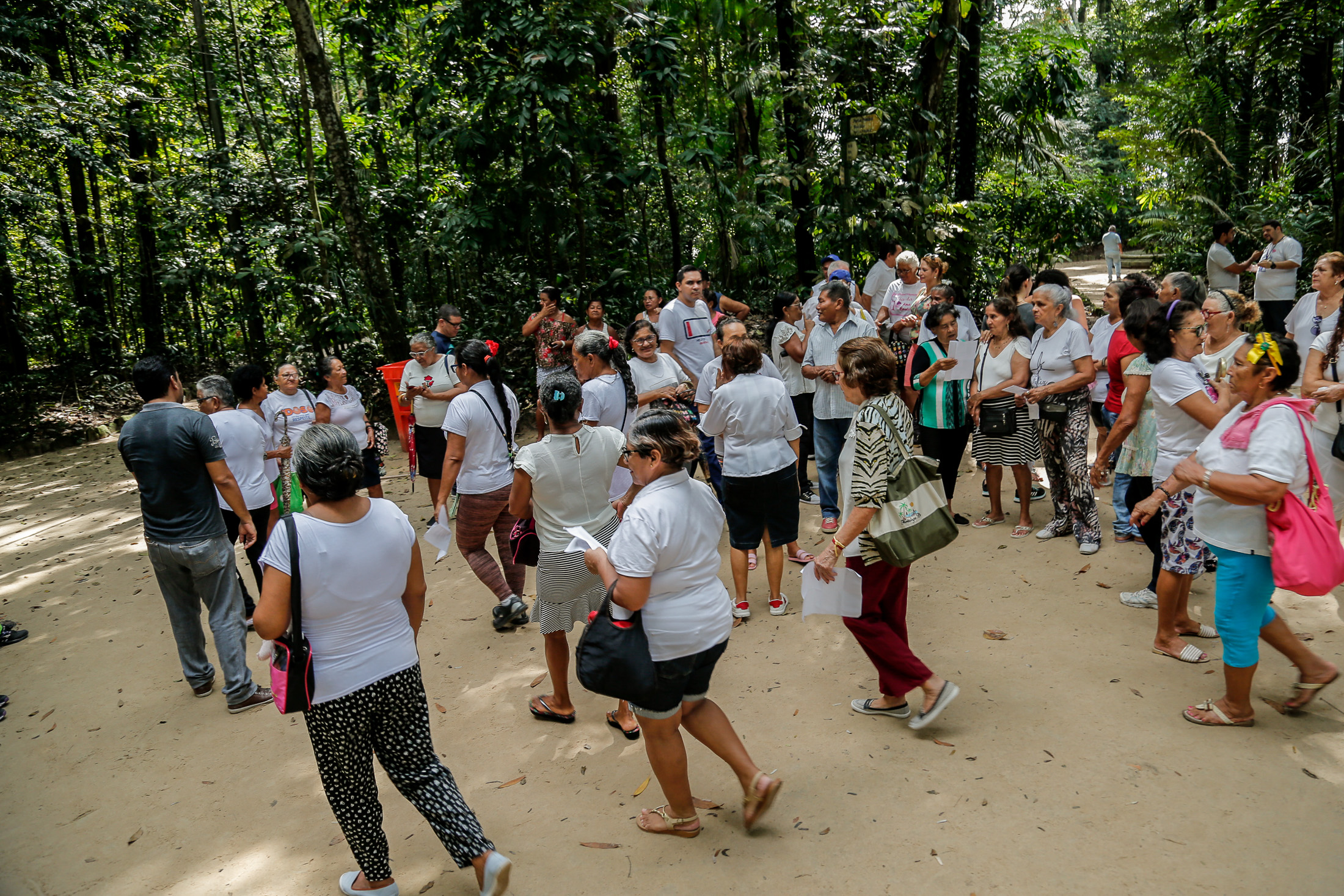 Idosos atendidos pelo Cras da Terra Firme ganham manhã de lazer no Bosque Rodrigues Alves 