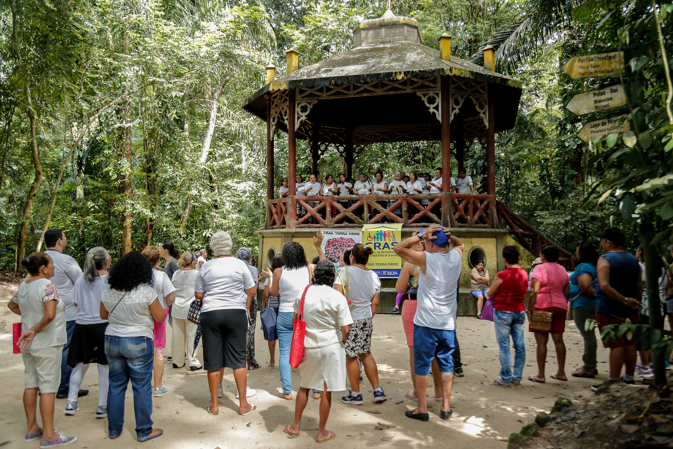 Idosos atendidos pelo Cras da Terra Firme ganham manhã de lazer no Bosque Rodrigues Alves 