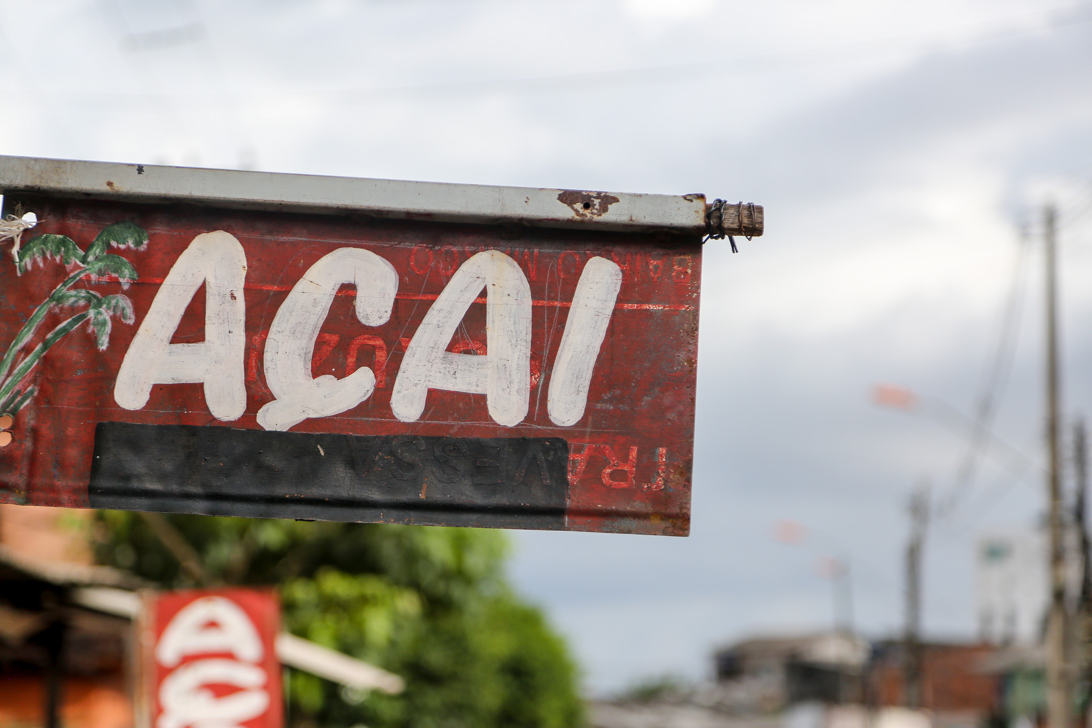 Secretarias municipais apresentam projeto sobre destinação dos resíduos do açaí