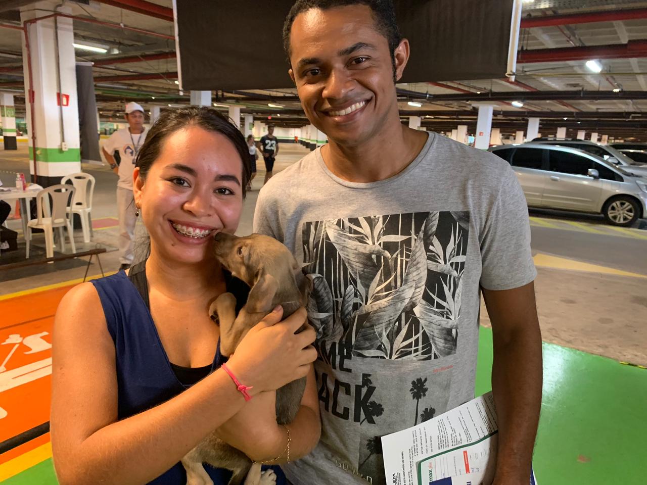 Centro de Zoonoses comemora sucesso de mais uma feira de adoção de cães e gatos