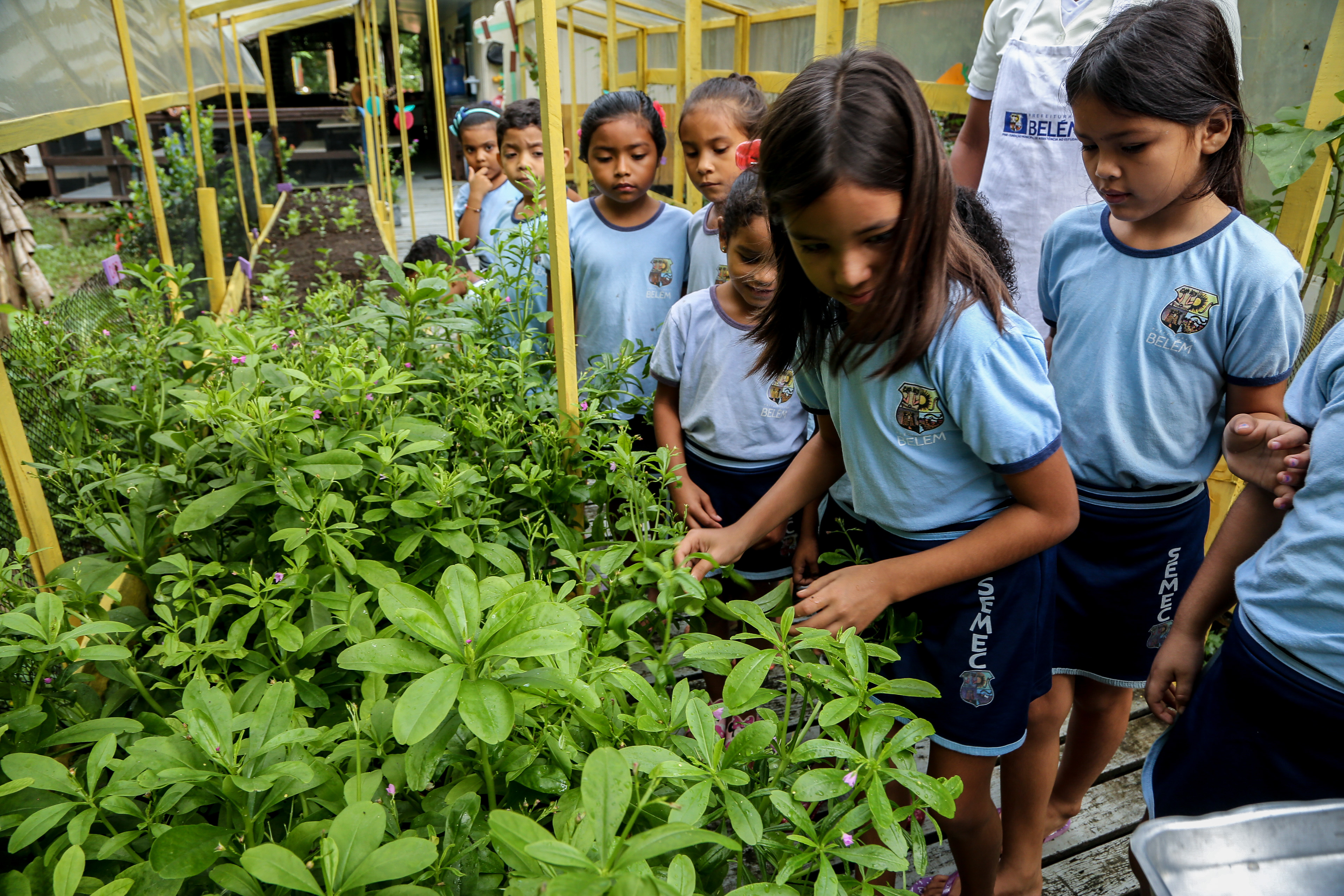 Alimentação balanceada e nutritiva torna a rotina de estudantes mais saudável