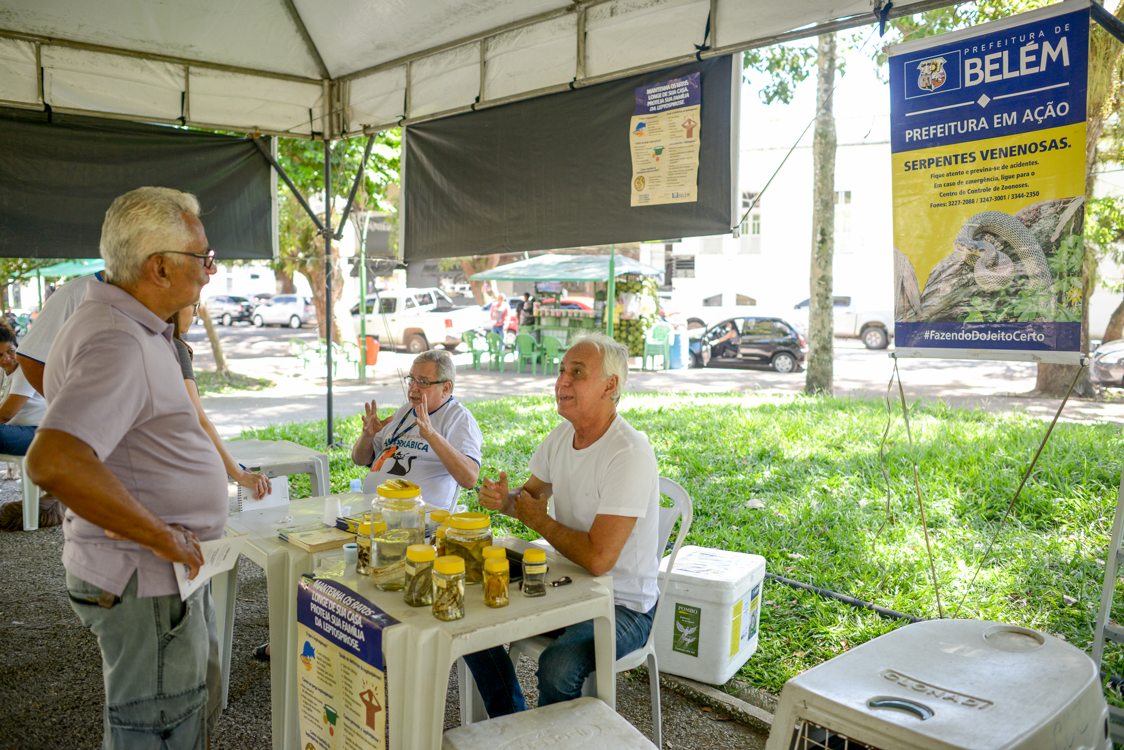 Praça Brasil recebe Feira de Adoção de Cães e Gatos 