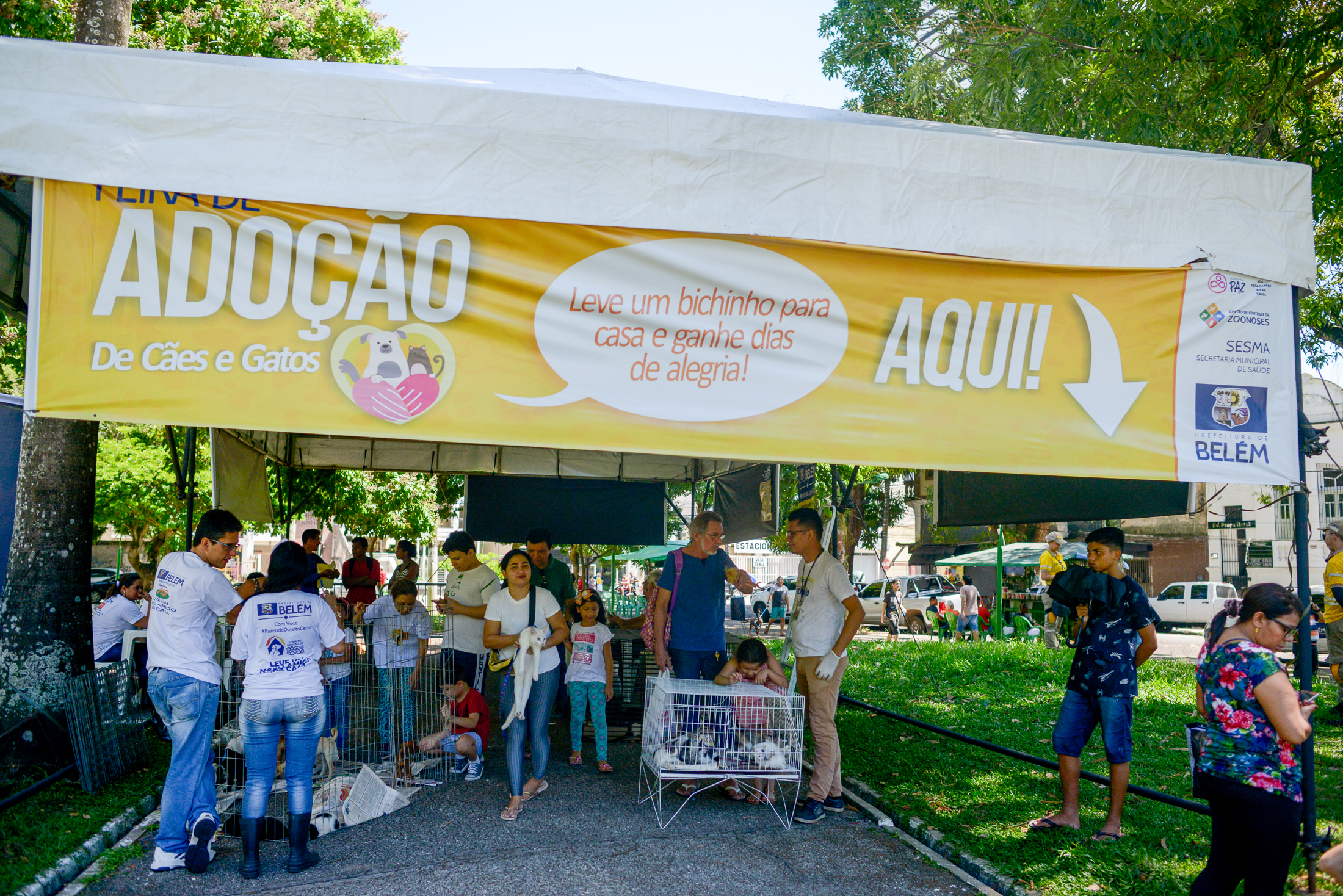 Praça Brasil recebe Feira de Adoção de Cães e Gatos 