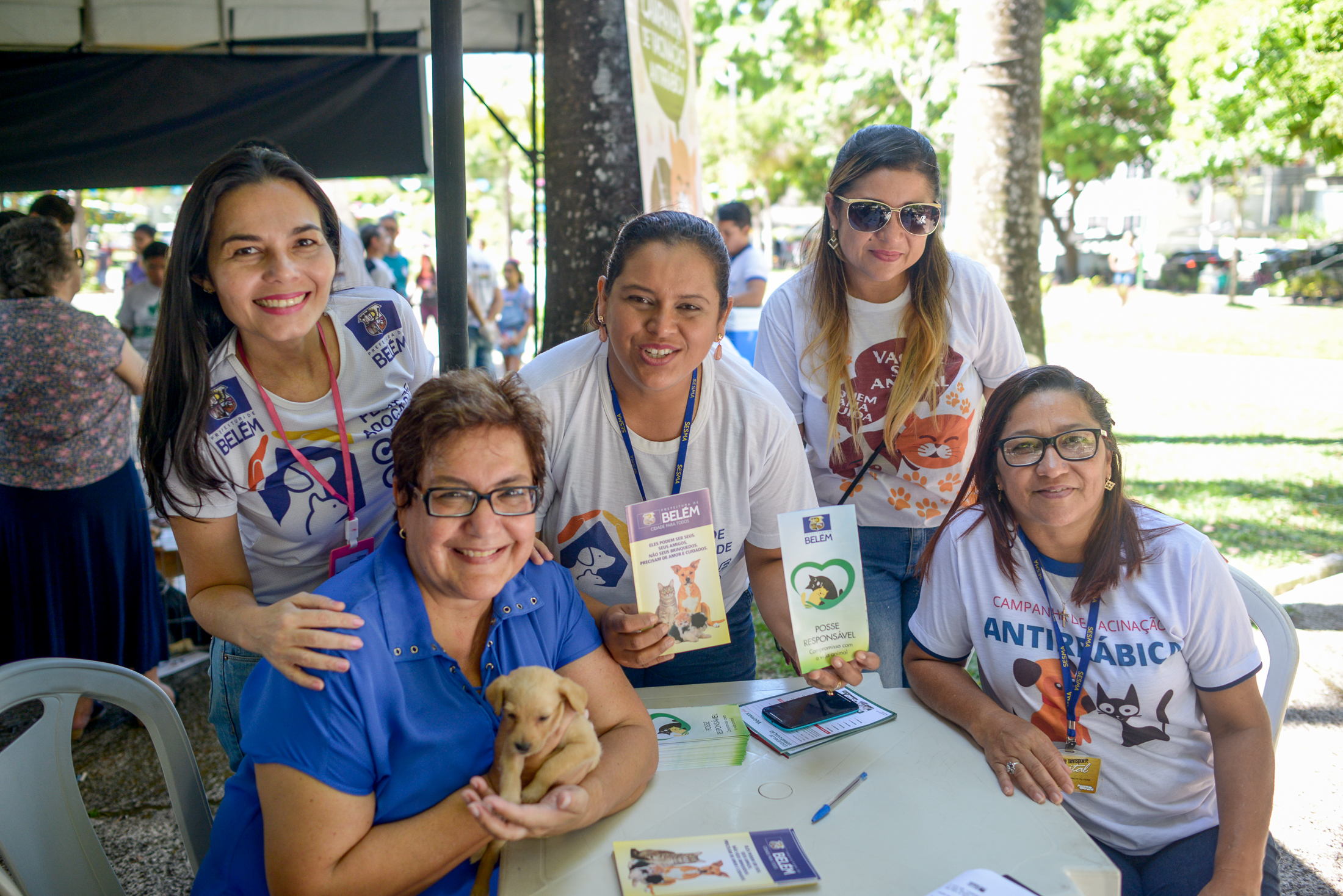 Praça Brasil recebe Feira de Adoção de Cães e Gatos 