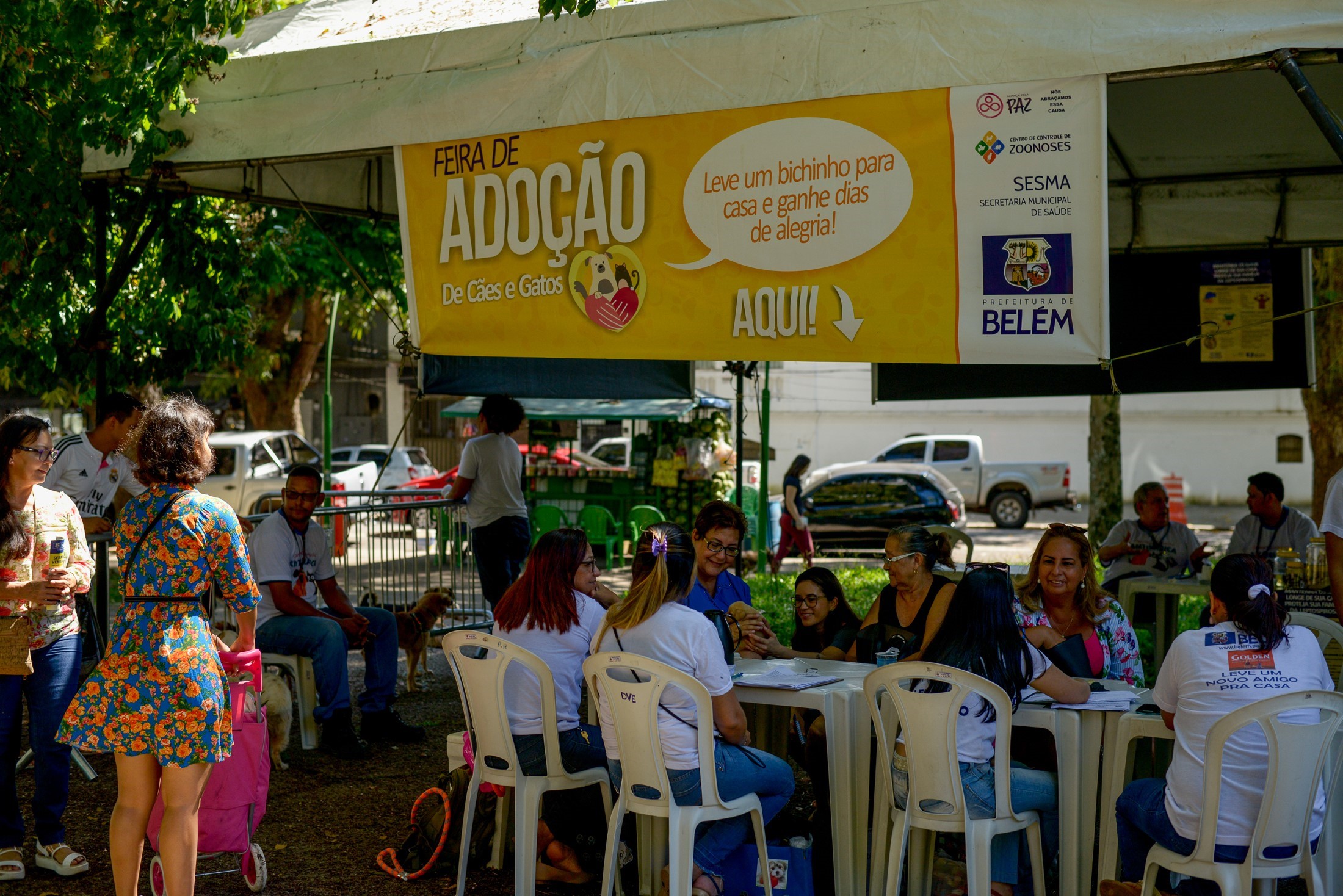 Praça Brasil recebe Feira de Adoção de Cães e Gatos 