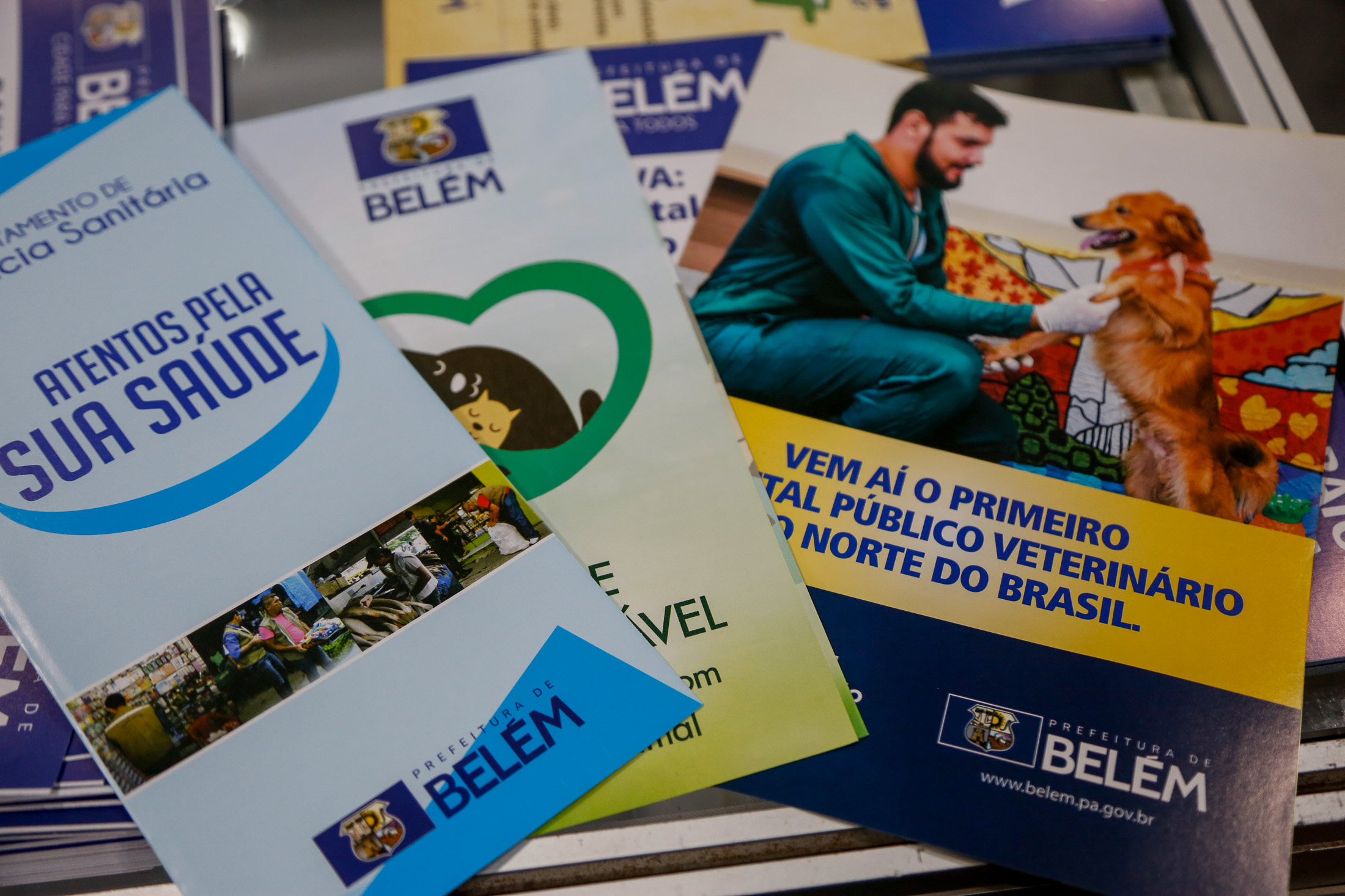Médicos veterinários do CCZ participam de Congresso Nacional