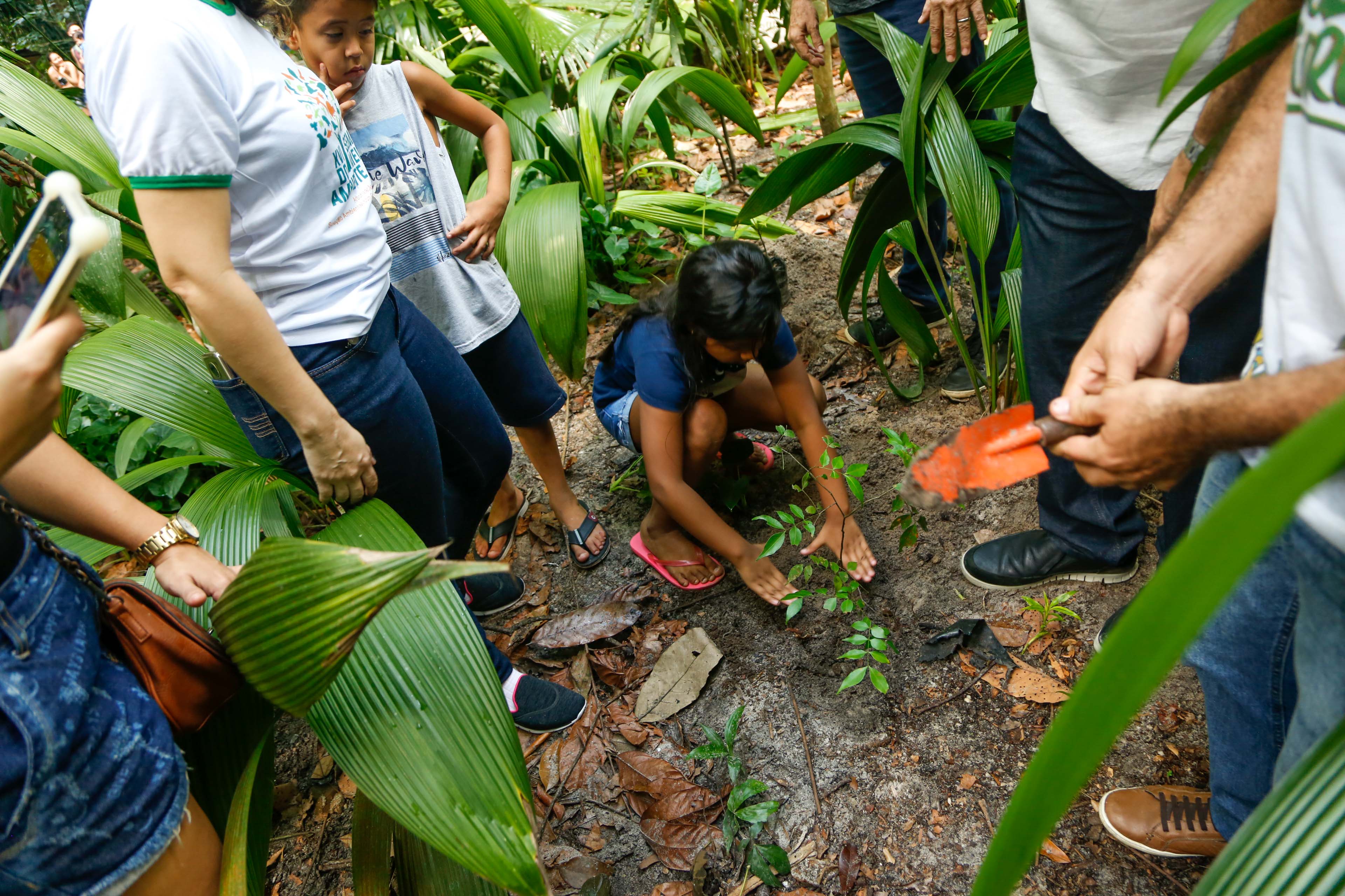 Bosque Rodrigues Alves completa 136 anos e comemora com atividades ambientais