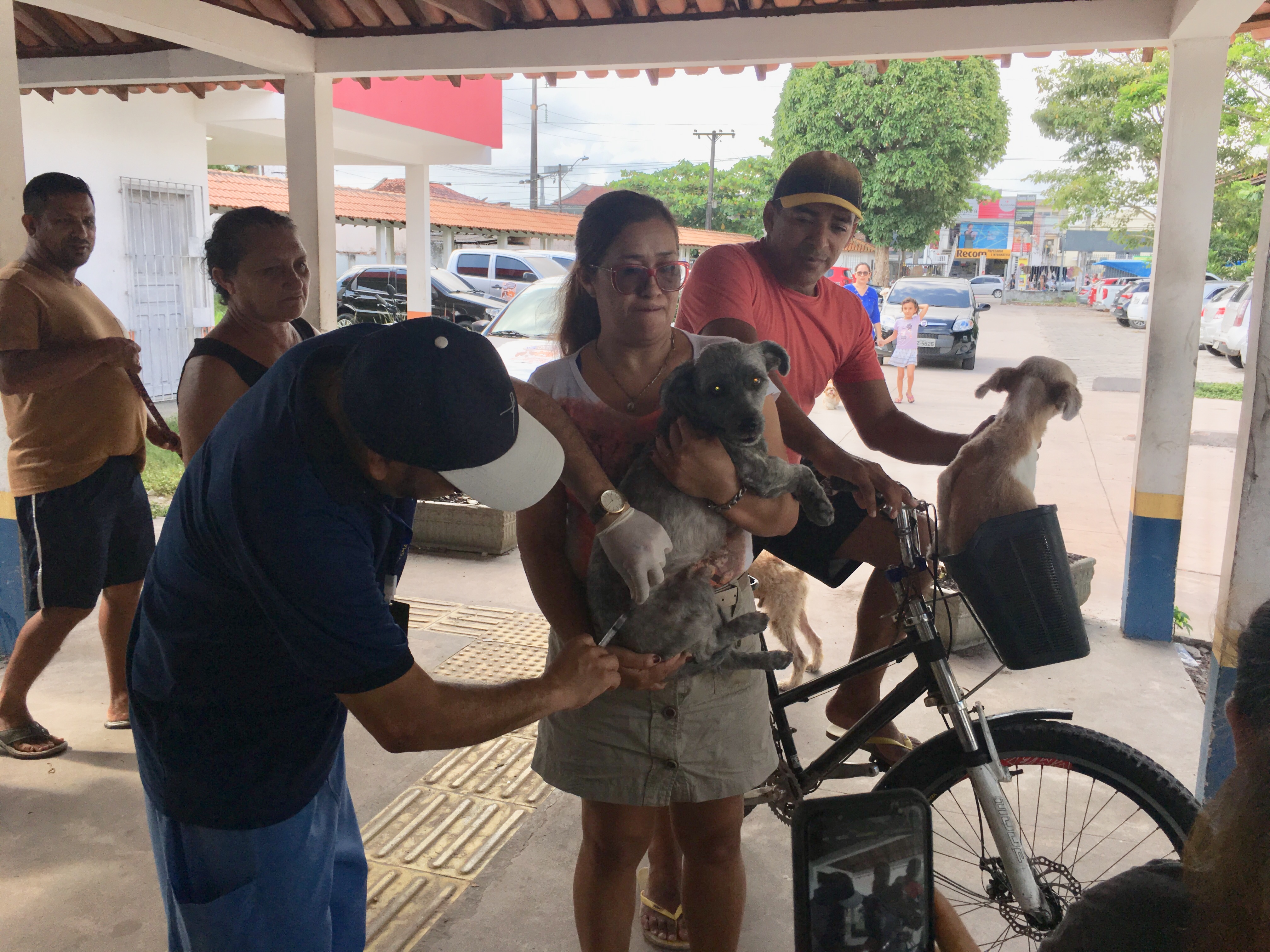 Cerca de 28 mil animais domésticos são vacinados contra a raiva em Belém