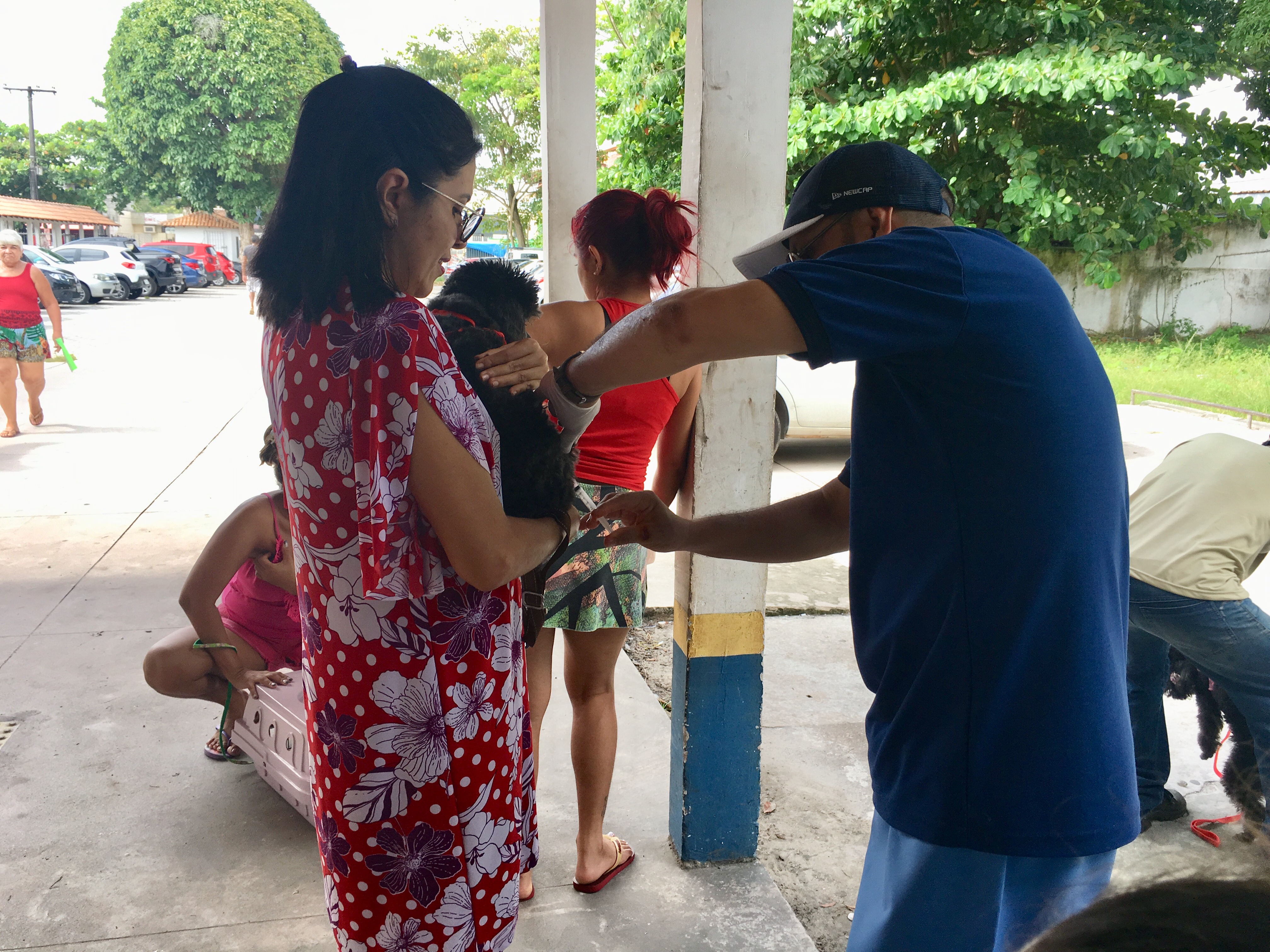 Cerca de 28 mil animais domésticos são vacinados contra a raiva em Belém