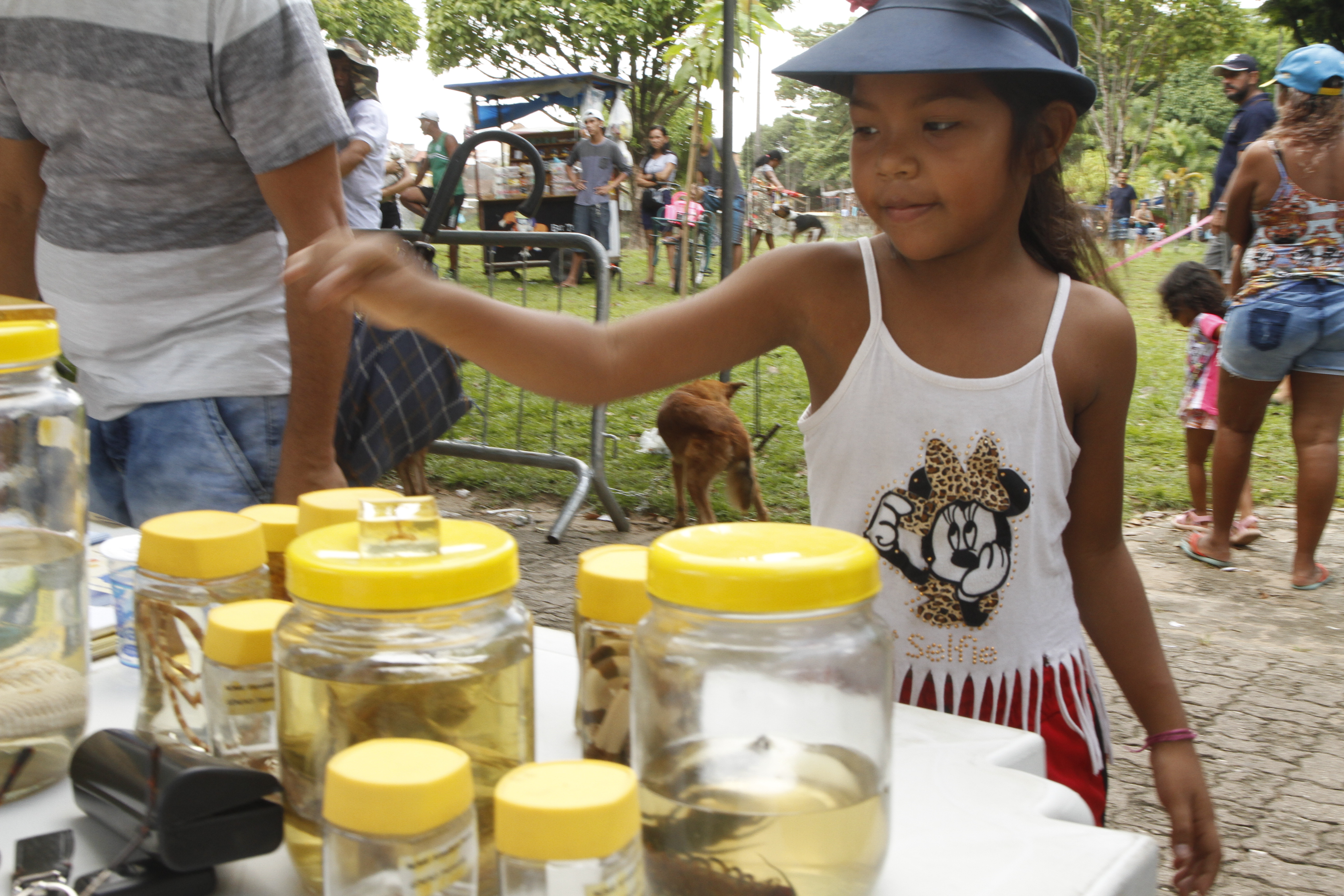 Praça do Marex recebe Feira de Adoção de Cães e Gatos neste domingo