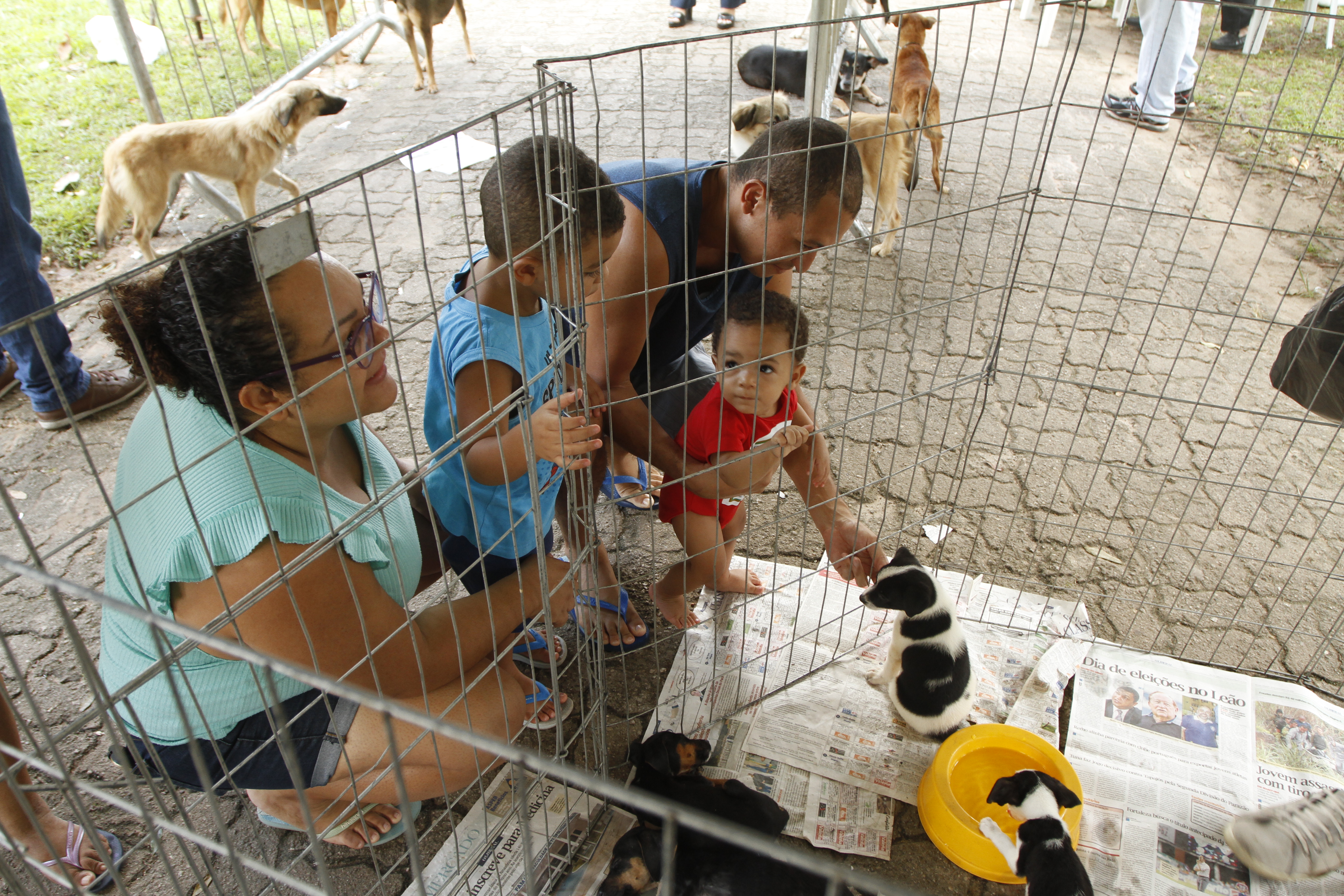 Praça do Marex recebe Feira de Adoção de Cães e Gatos neste domingo