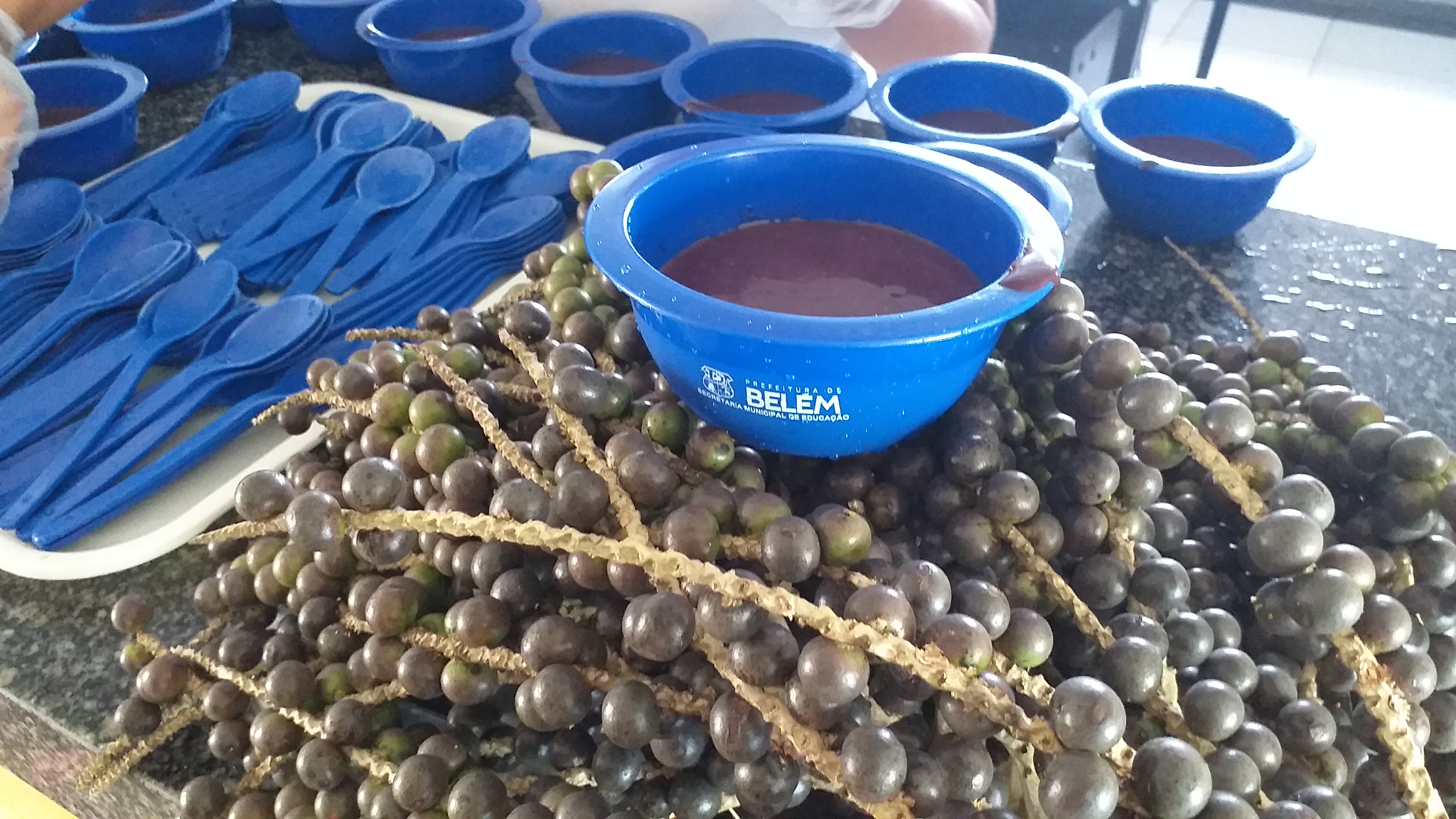 Semec promove a Semana do Açaí na Merenda Escolar