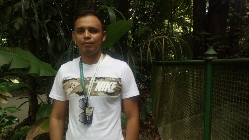 Bosque Rodrigues Alves comemora Dia da Fauna e aniversário do peixe-boi Cajuru