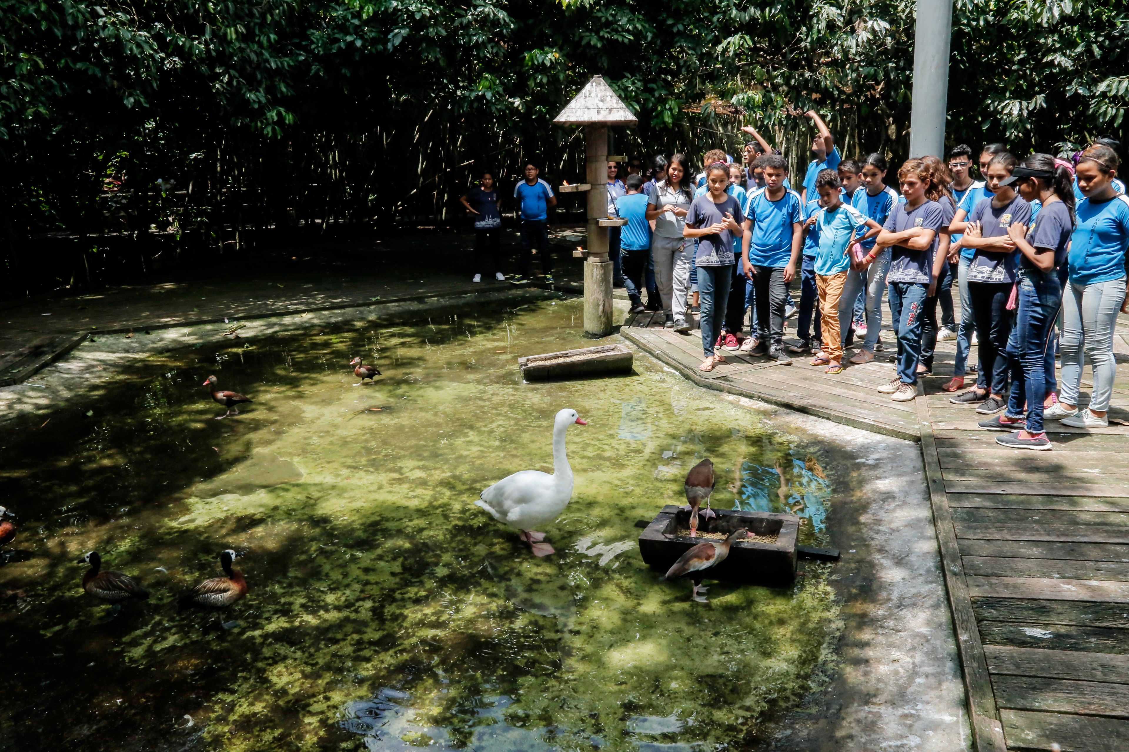 Projeto Turismo na Escola leva 520 alunos da rede municipal a locais marcantes de Belém
