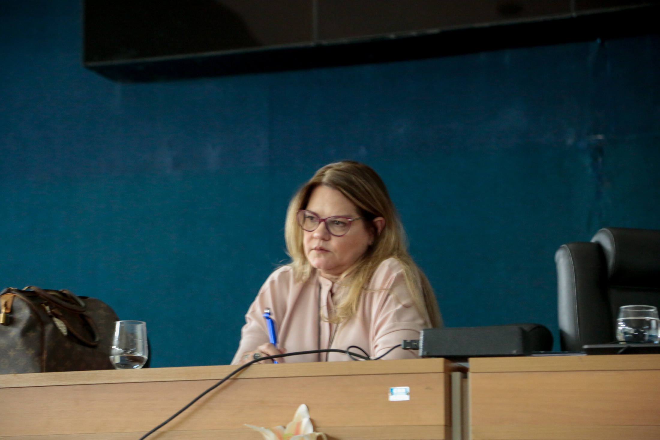 Prefeitura participa de audiência pública sobre o BRT Belém na Câmara Municipal
