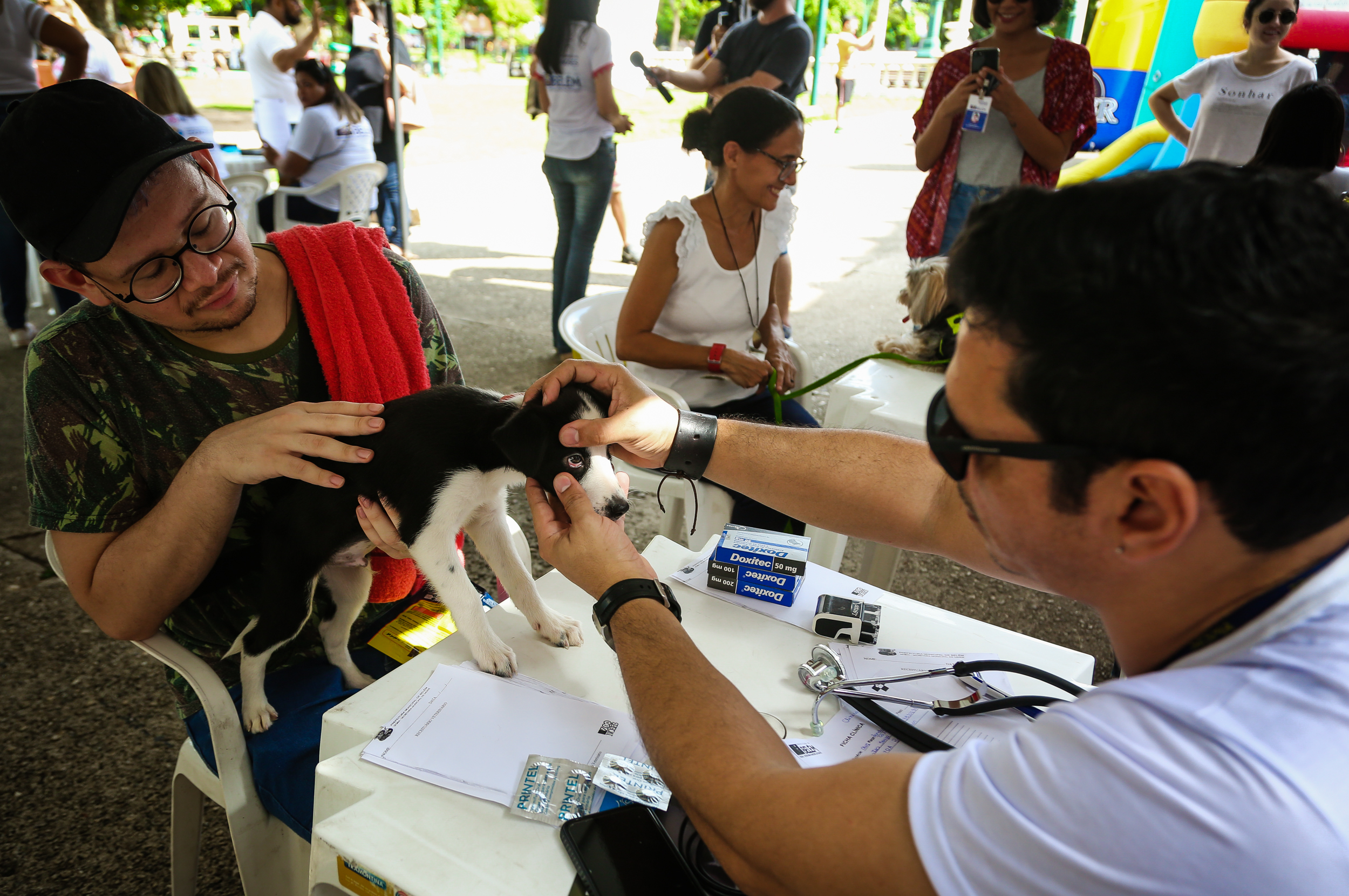 Praça da República recebeu a 57ª Feira de Adoção de Cães e Gatos neste domingo