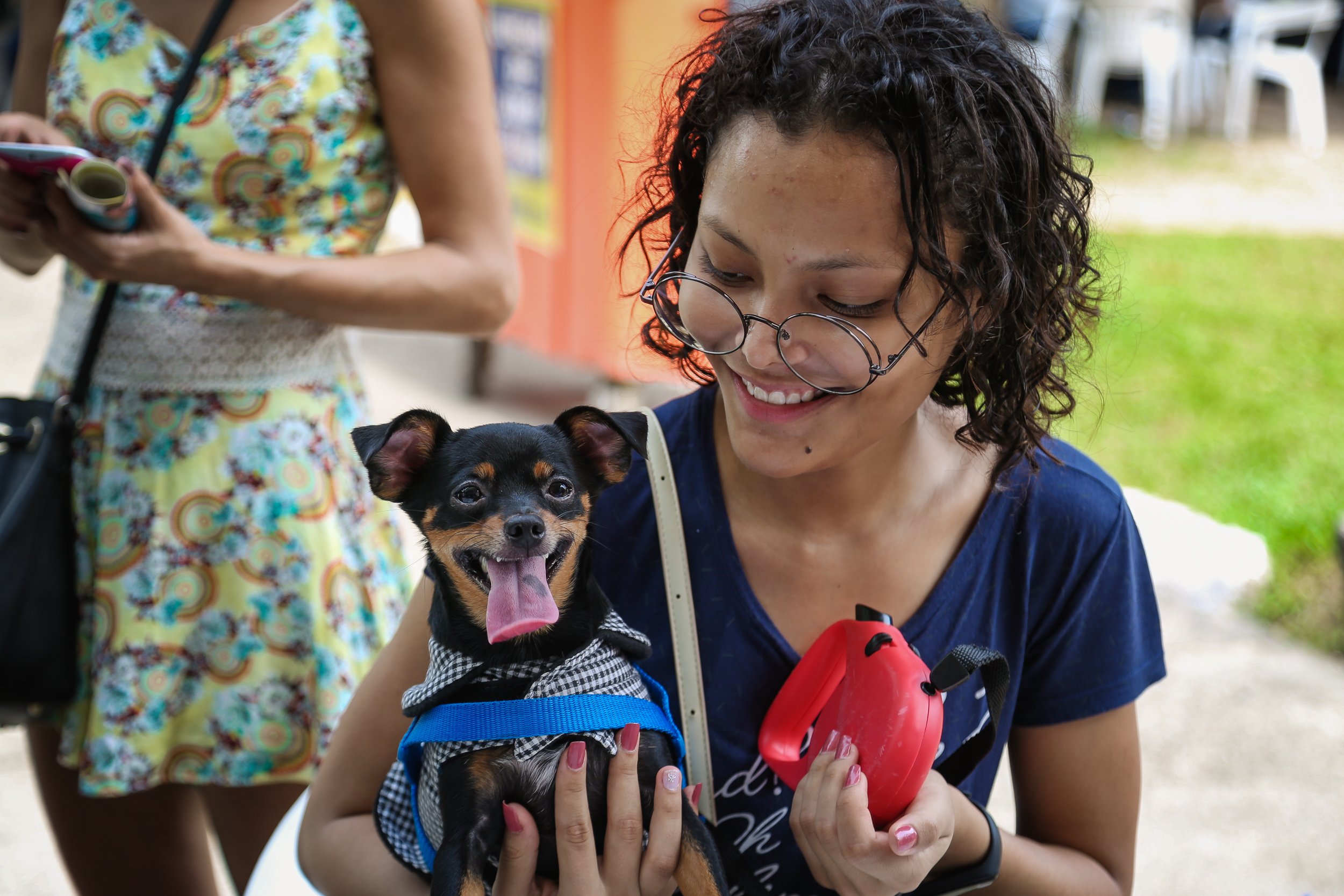Praça da República recebeu a 57ª Feira de Adoção de Cães e Gatos neste domingo