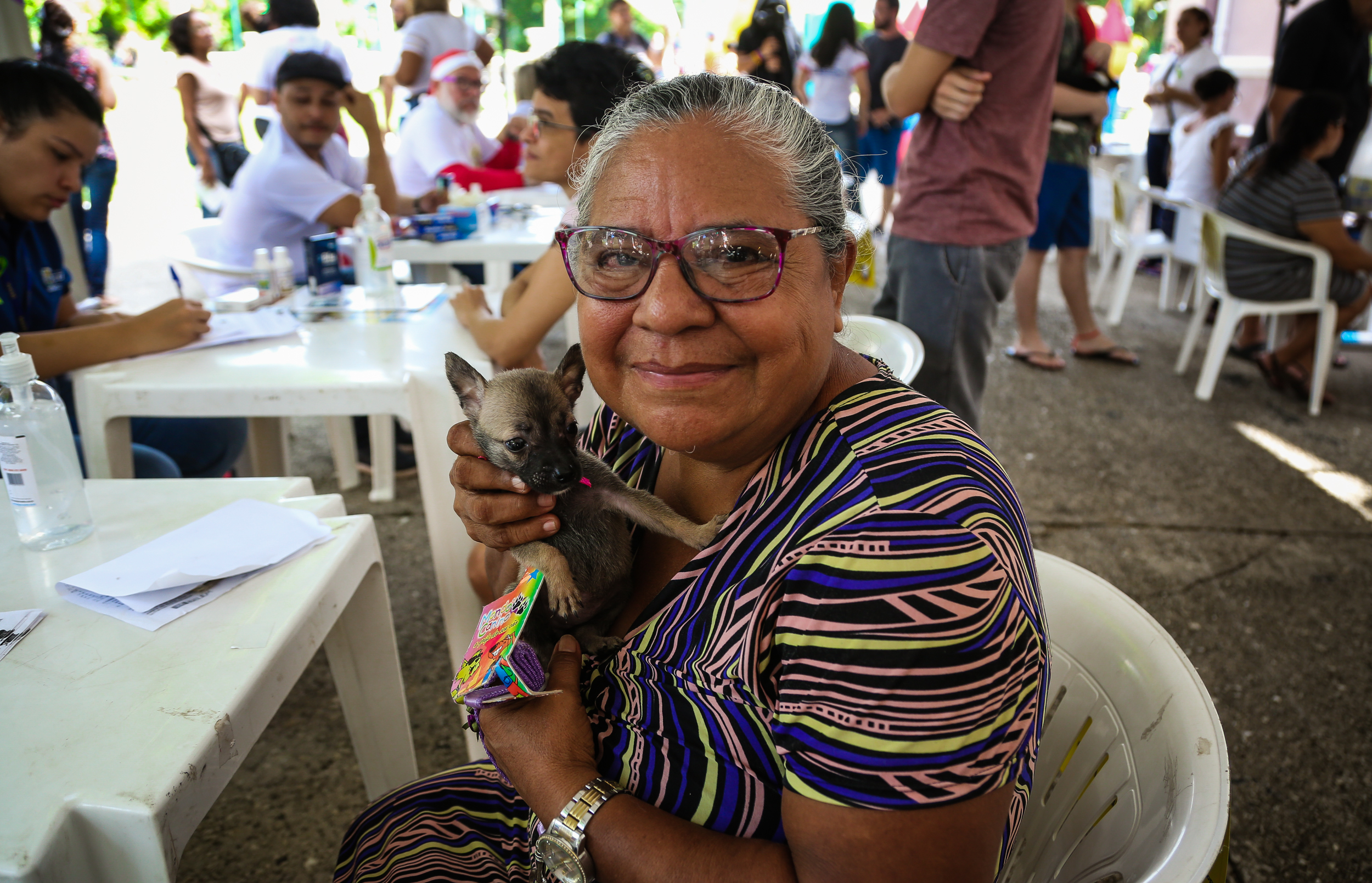 Praça da República recebeu a 57ª Feira de Adoção de Cães e Gatos neste domingo