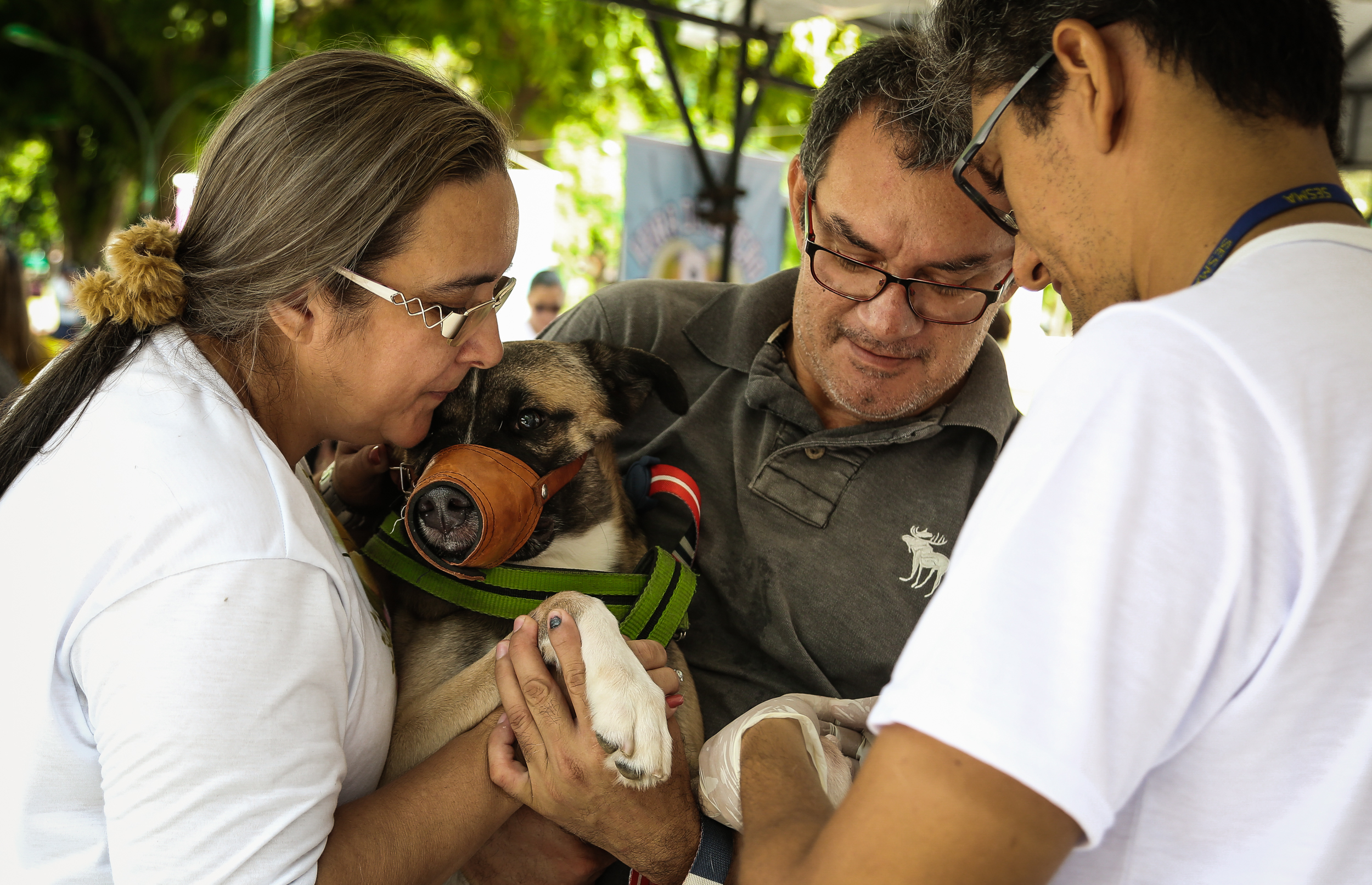 Praça da República recebeu a 57ª Feira de Adoção de Cães e Gatos neste domingo