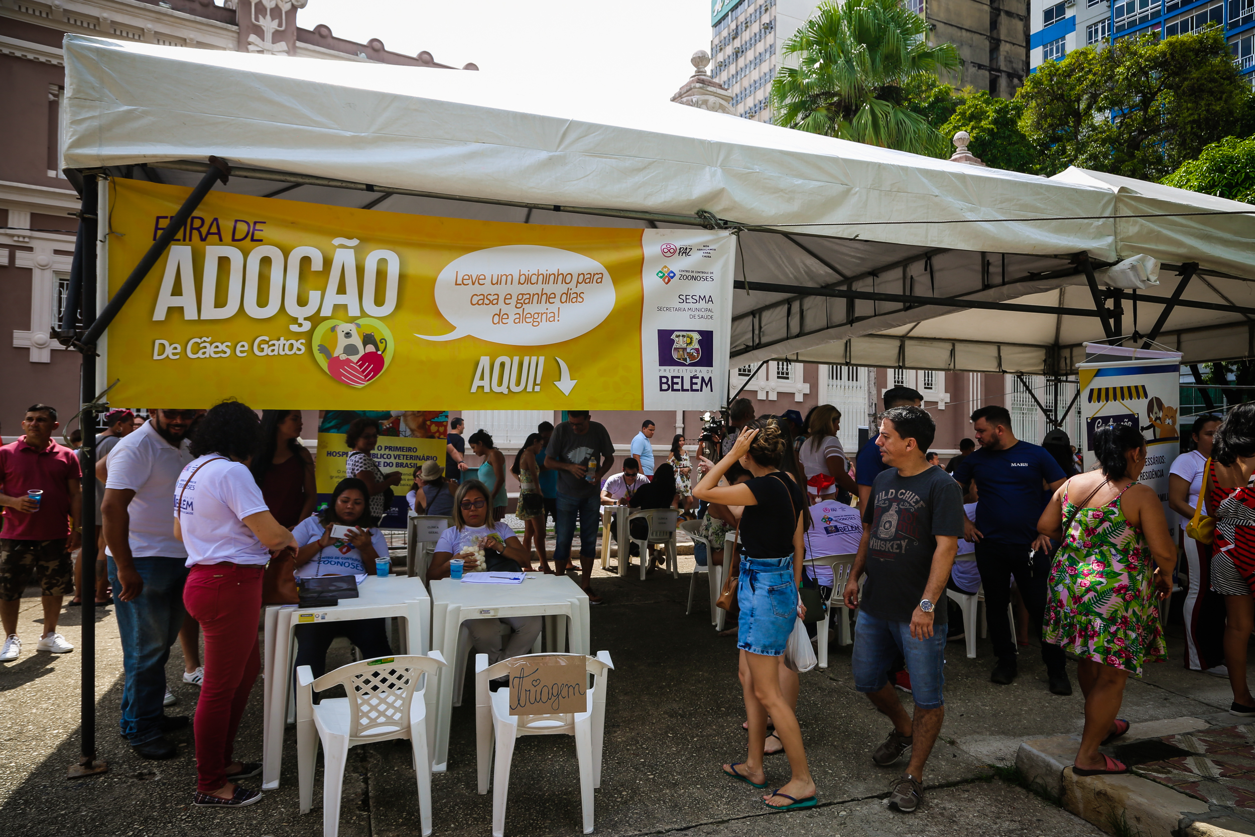 Praça da República recebeu a 57ª Feira de Adoção de Cães e Gatos neste domingo