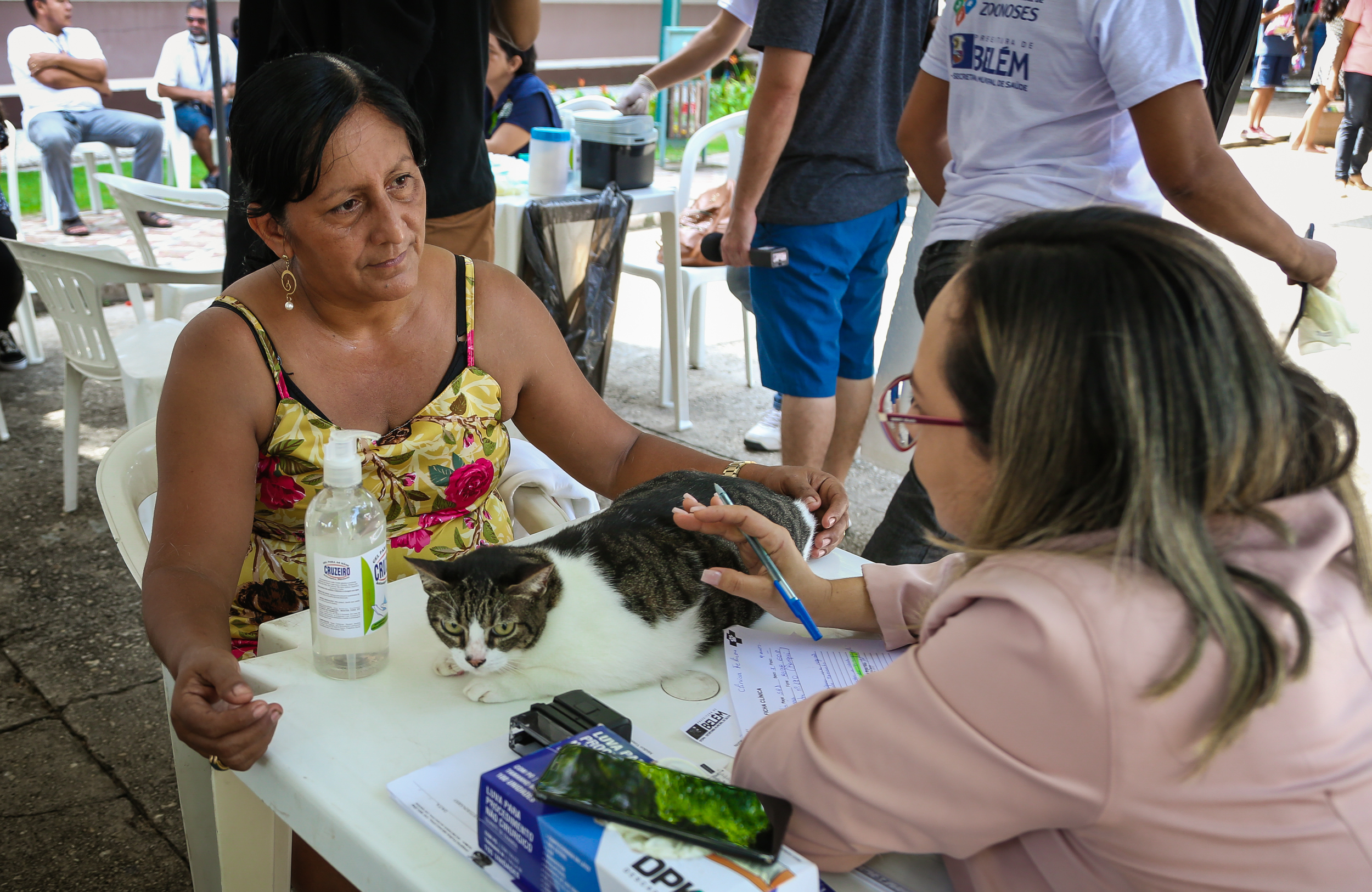 Praça da República recebeu a 57ª Feira de Adoção de Cães e Gatos neste domingo
