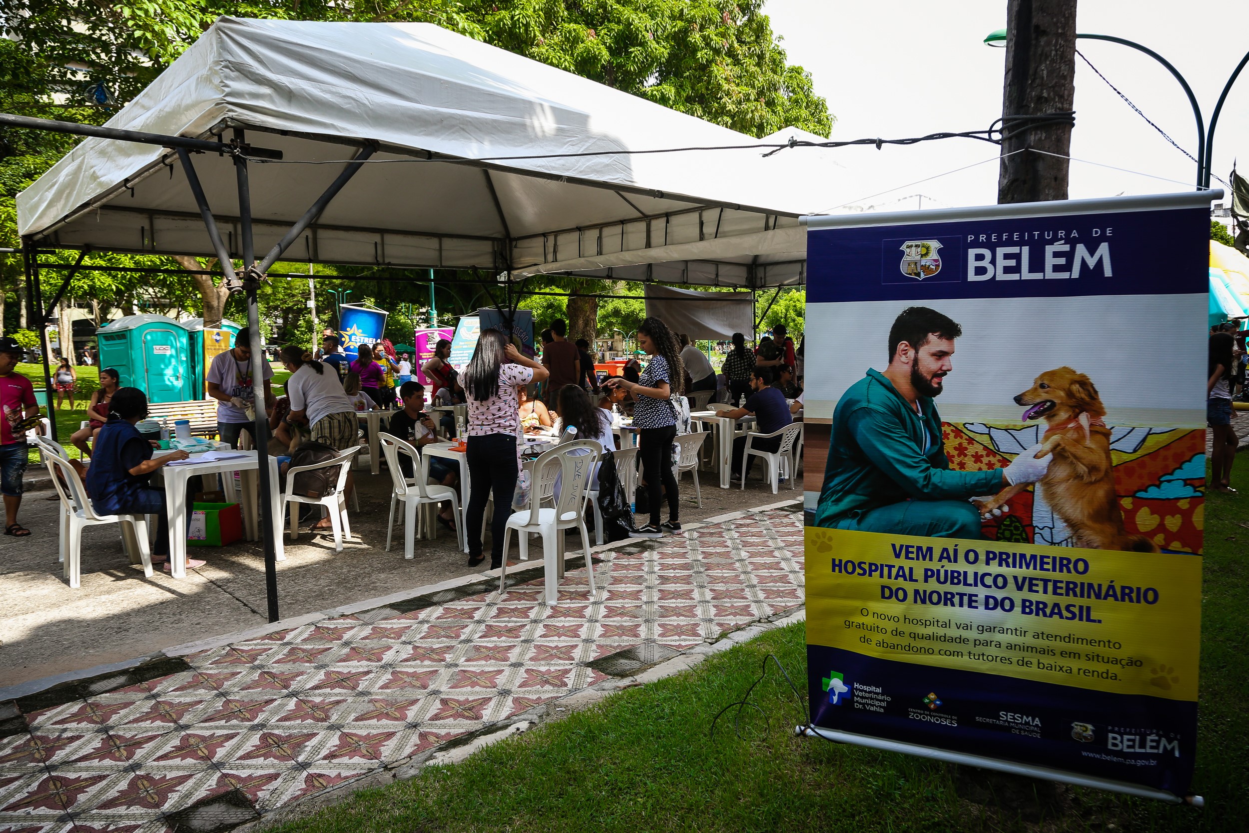 Praça da República recebeu a 57ª Feira de Adoção de Cães e Gatos neste domingo