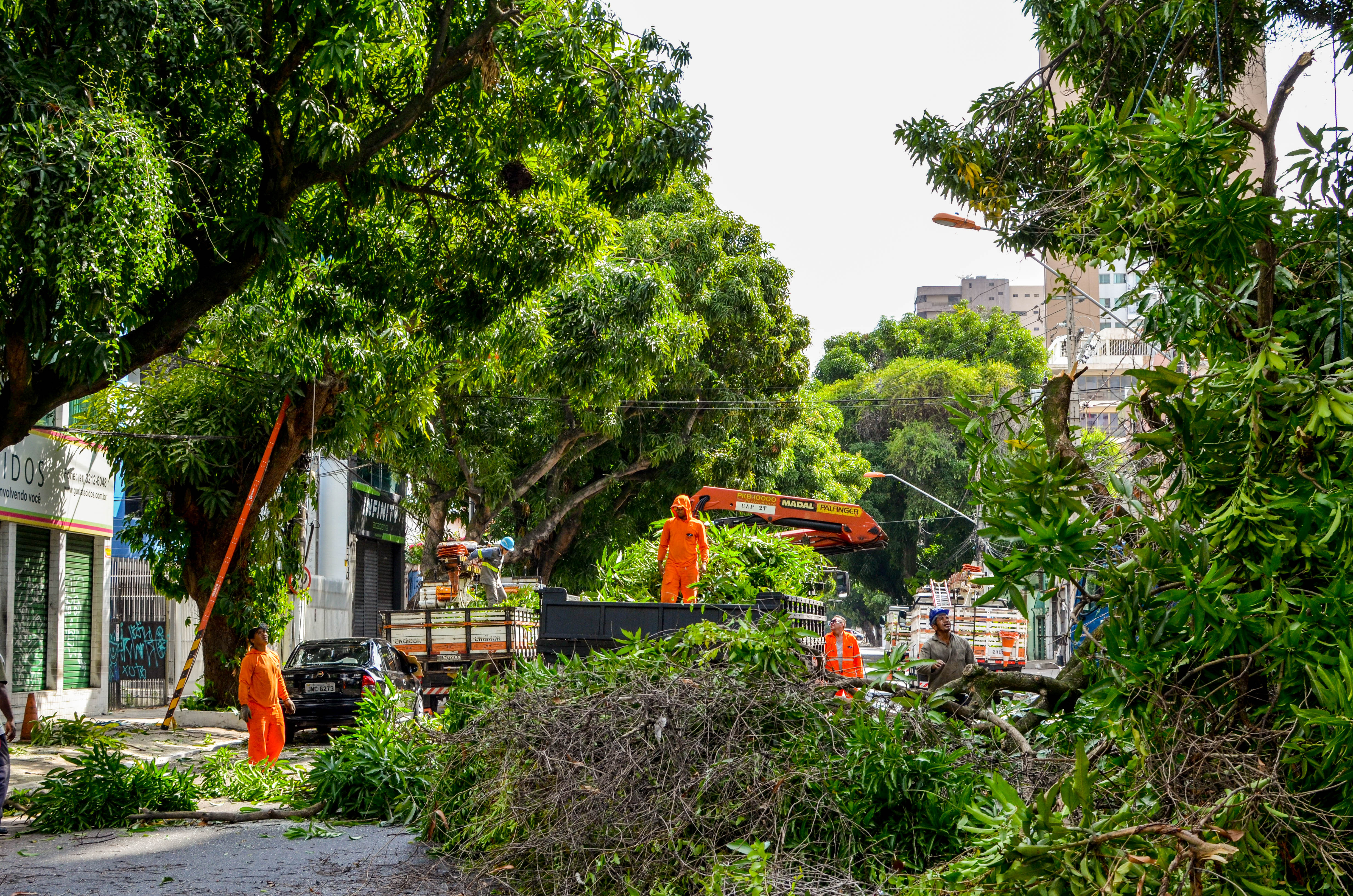 Gestão ambiental foi prioridade na capital paraense em 2019 