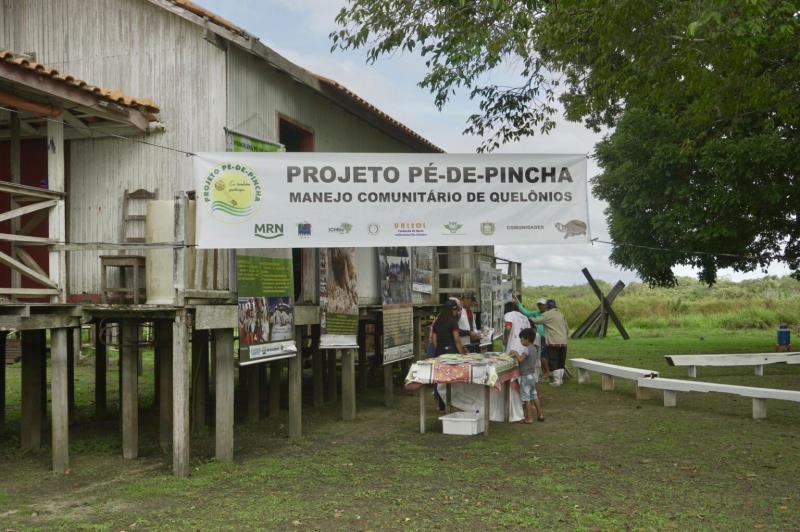 Soltura de quelônios reforça conservação ambiental e mobiliza comunidades no Oeste do Pará