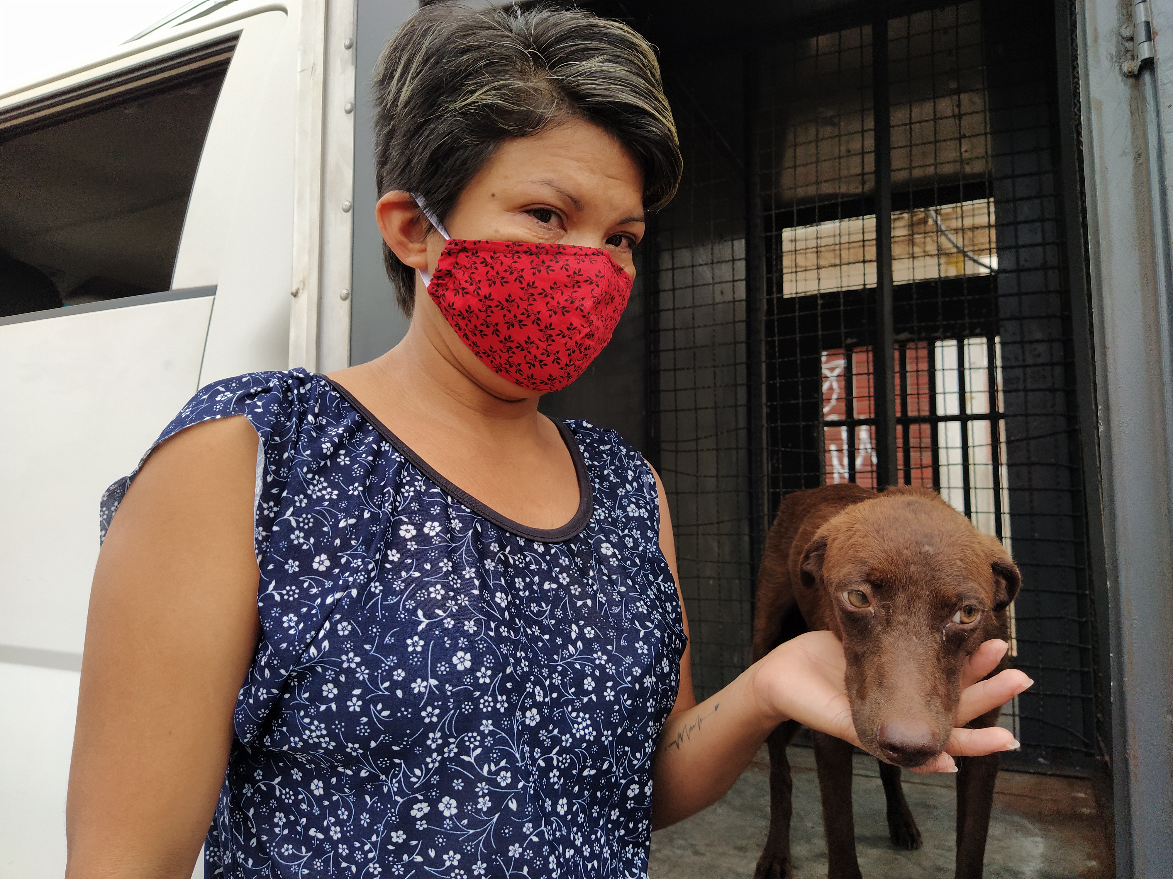 Animal é resgatado pelo Centro de Zoonoses 