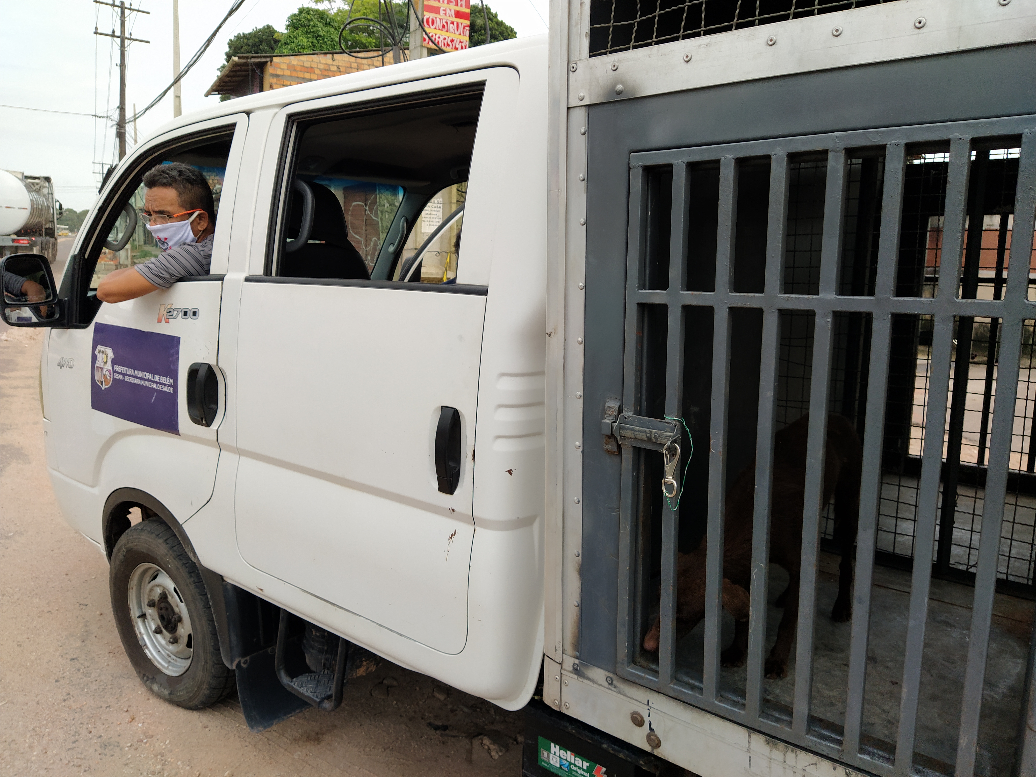 Animal é resgatado pelo Centro de Zoonoses 