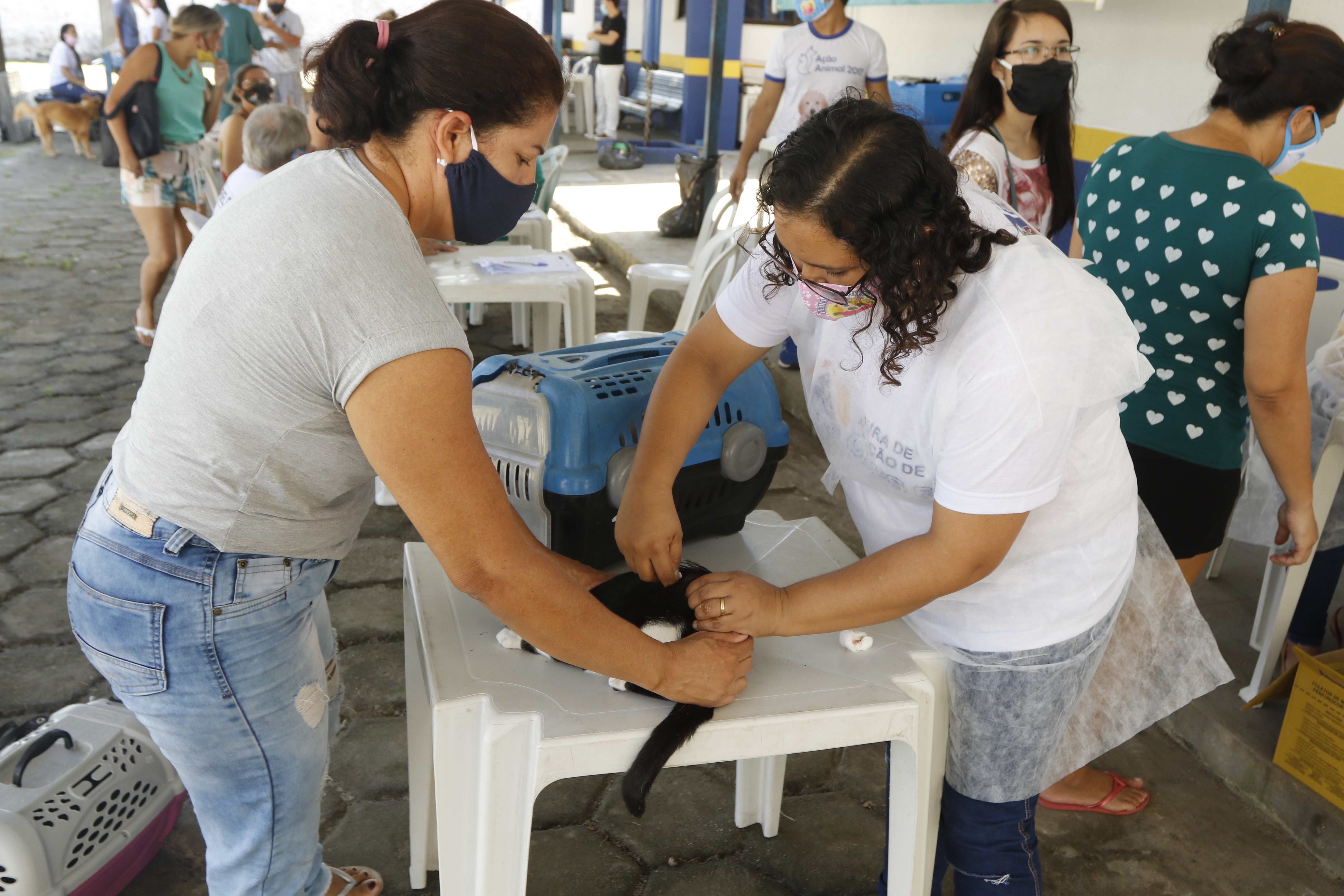 Serviços Veterinários Fornecidos pela Prefeitura de Belém