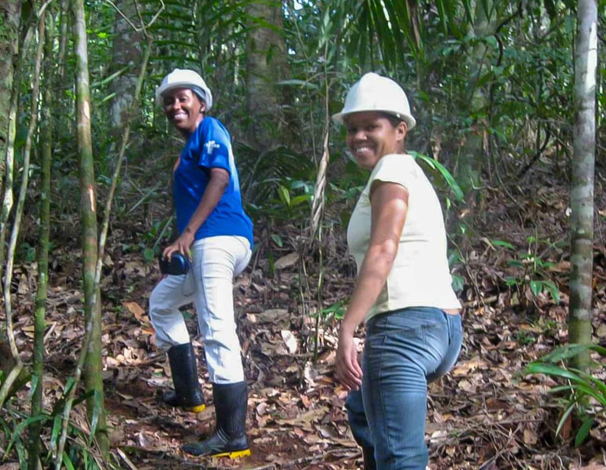 Dia do Engenheiro Florestal: Desafios da profissão e motivos para comemorar no município