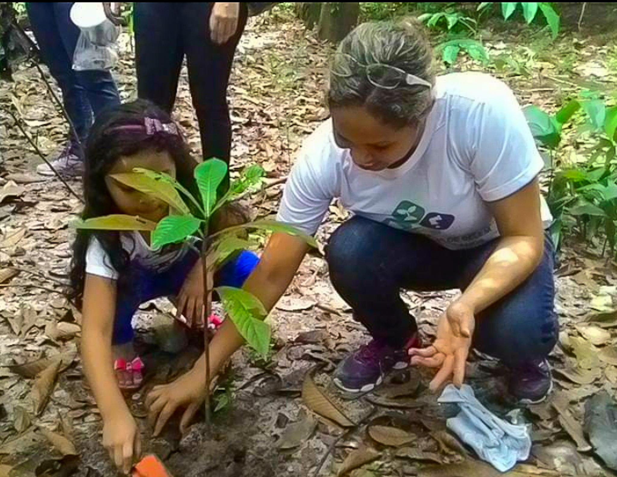 Dia do Engenheiro Florestal: Desafios da profissão e motivos para comemorar no município