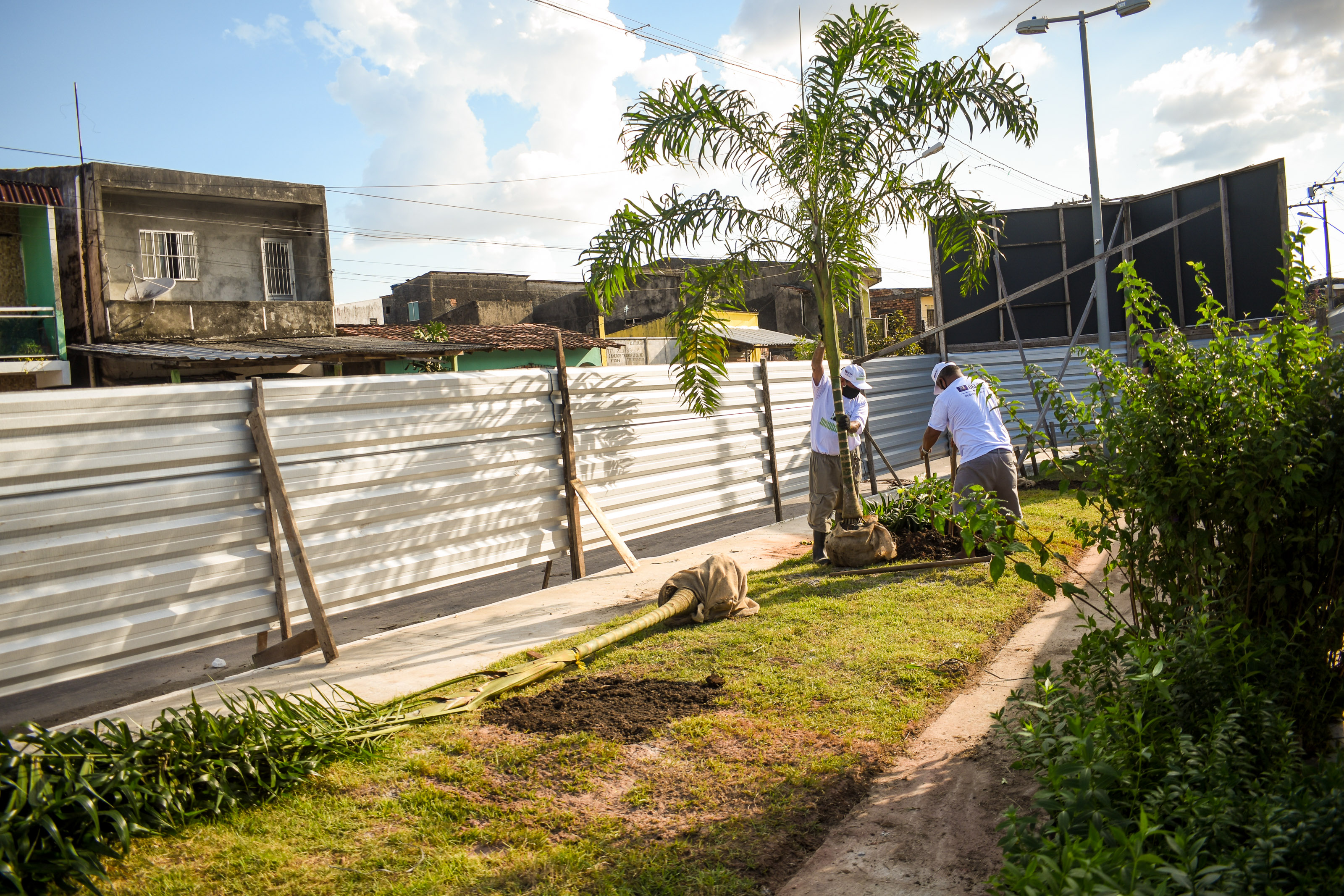 Florir Belém é lançado com previsão de plantio de 20 mil espécies até o final do ano