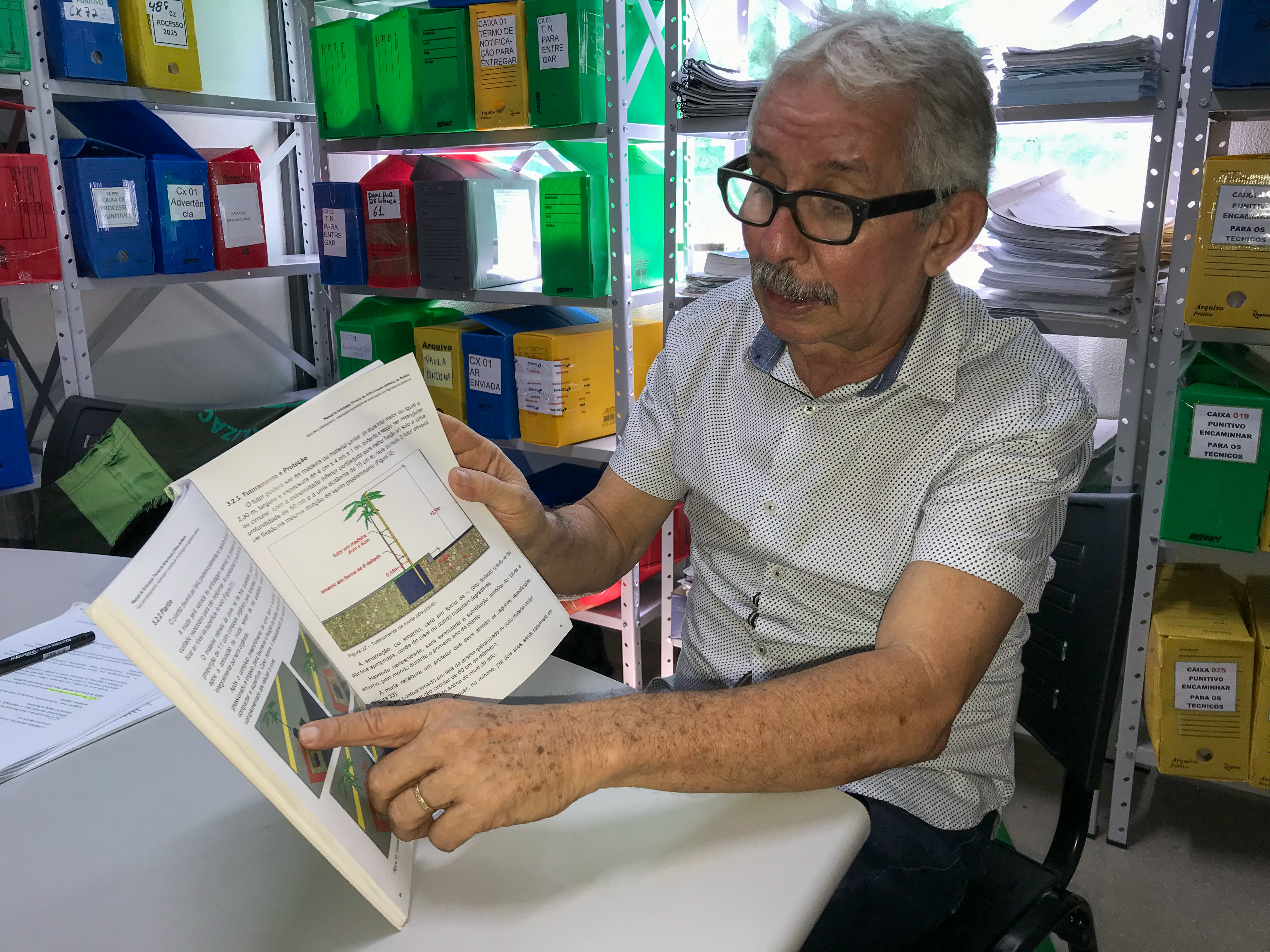 Semma acompanha regularmente serviços de podas de árvores realizados na capital