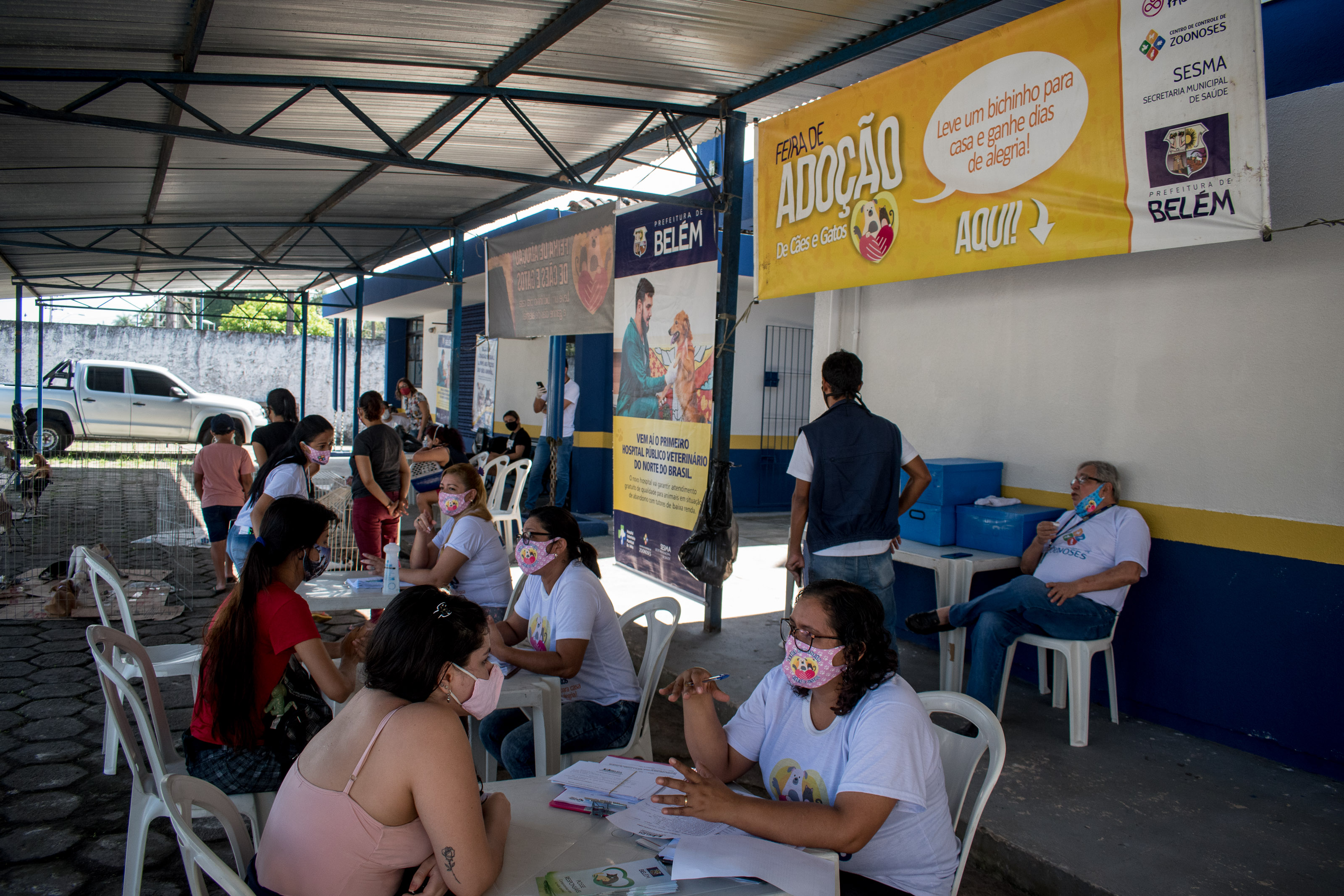 Prefeitura promove mais uma edição da feira de adoção de cães e gatos 
