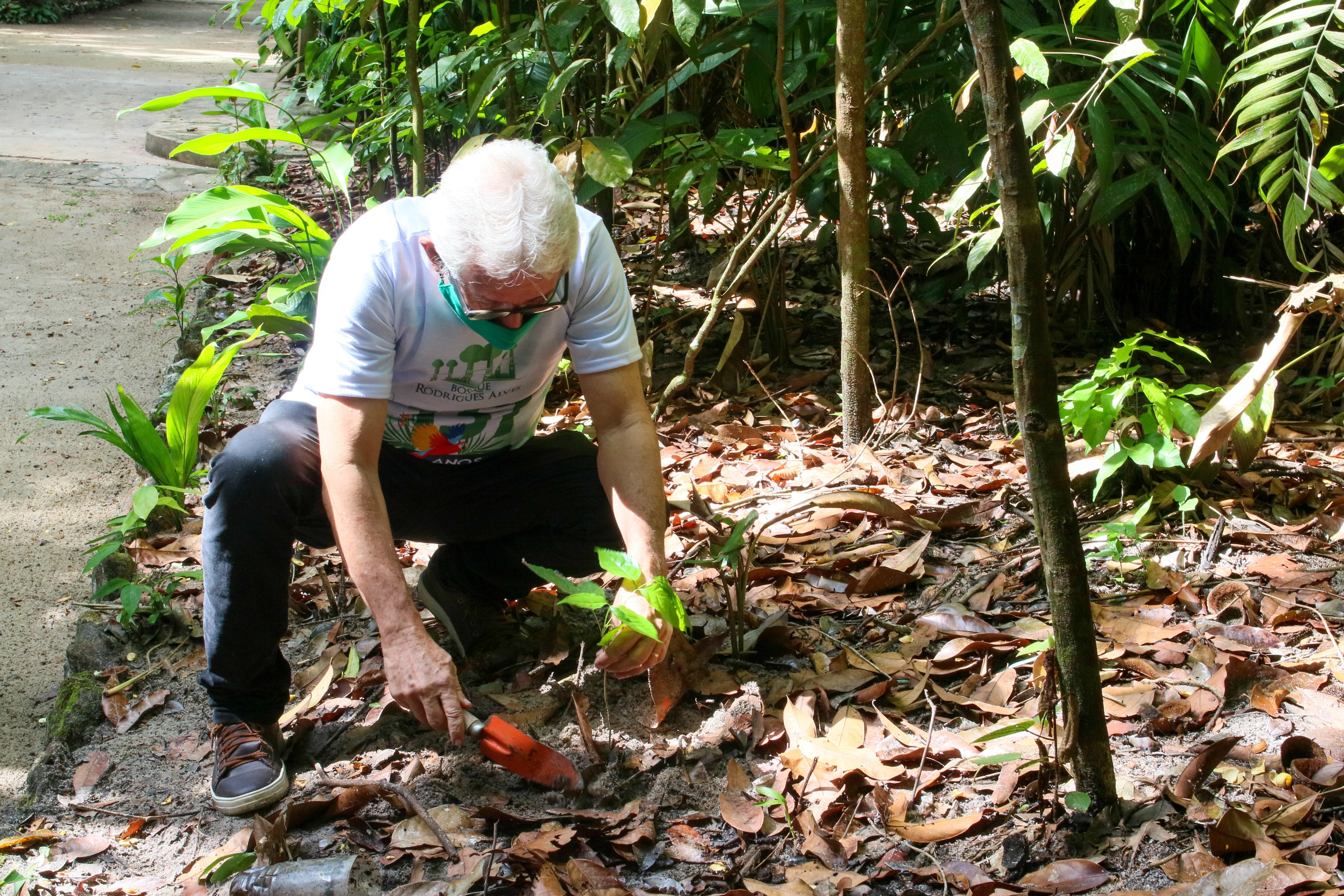 Bosque Rodrigues Alves completa 137 anos e reabre para visitação