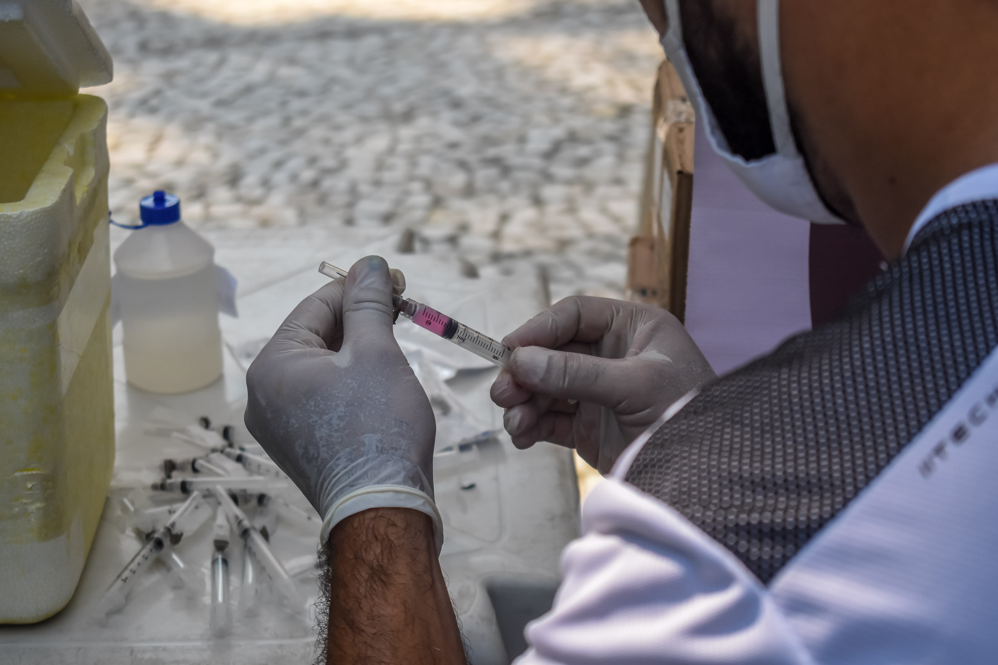 Sesma inicia campanha de vacinação antirrábica em Belém 