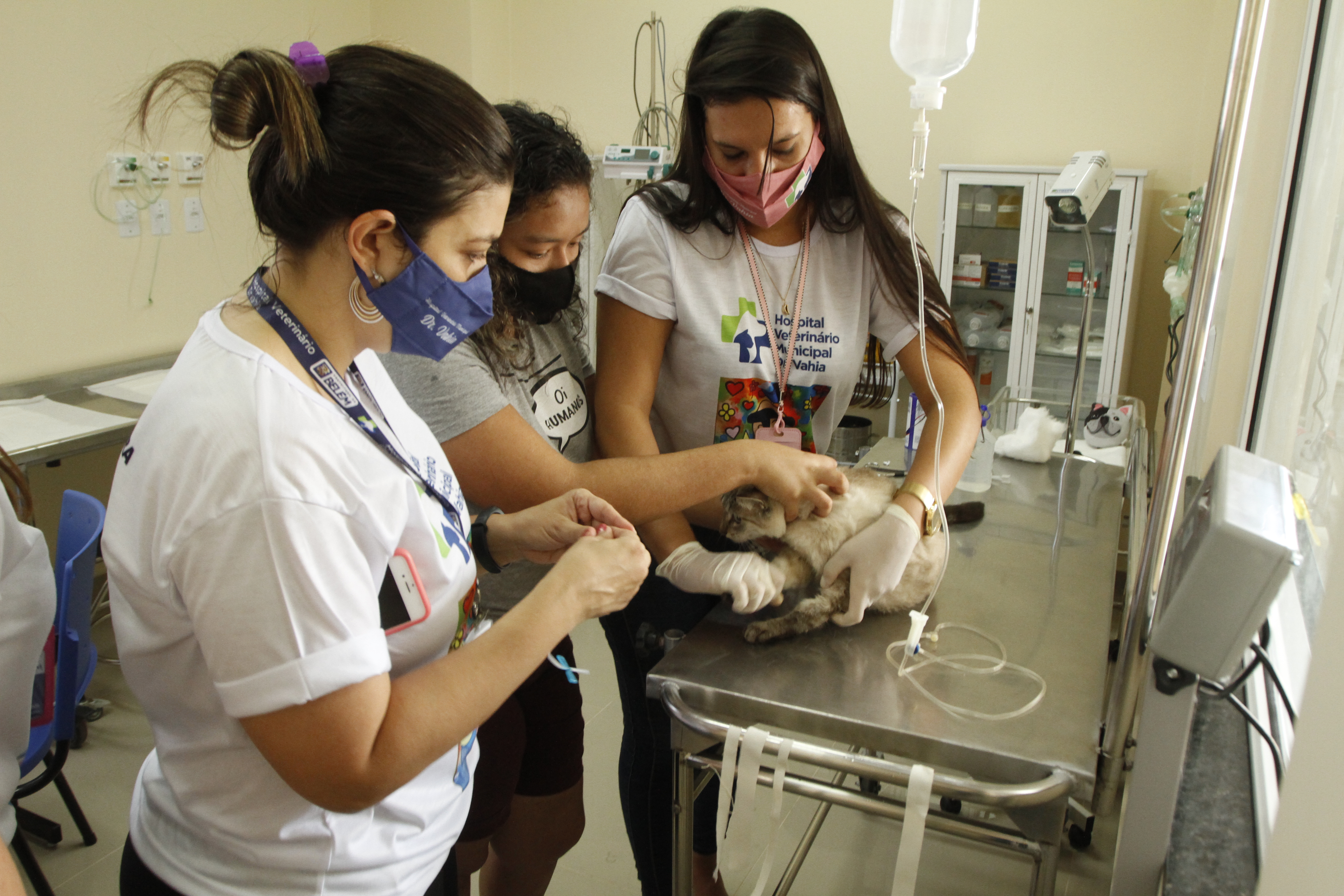 Serviços Veterinários Fornecidos pela Prefeitura de Belém