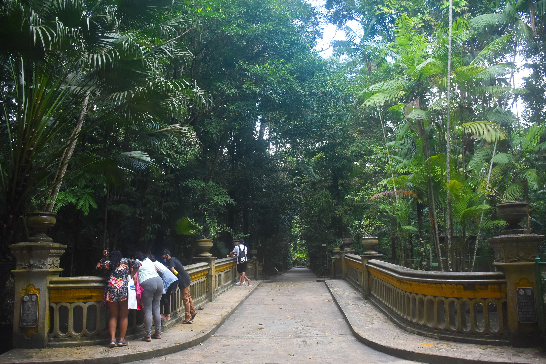 Prefeitura prevê conclusão das obras do Bosque Rodrigues Alves até julho